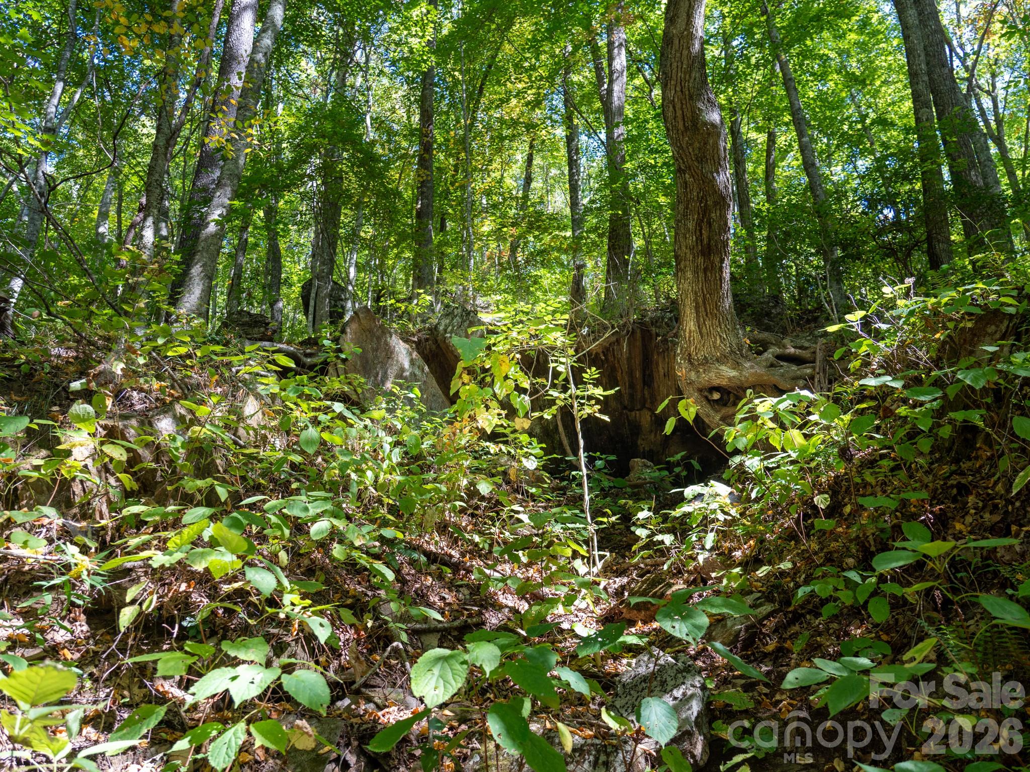 Remnants of former mica mine reportedly from the 1930s - 00 Orion Davis Road, Waynesville