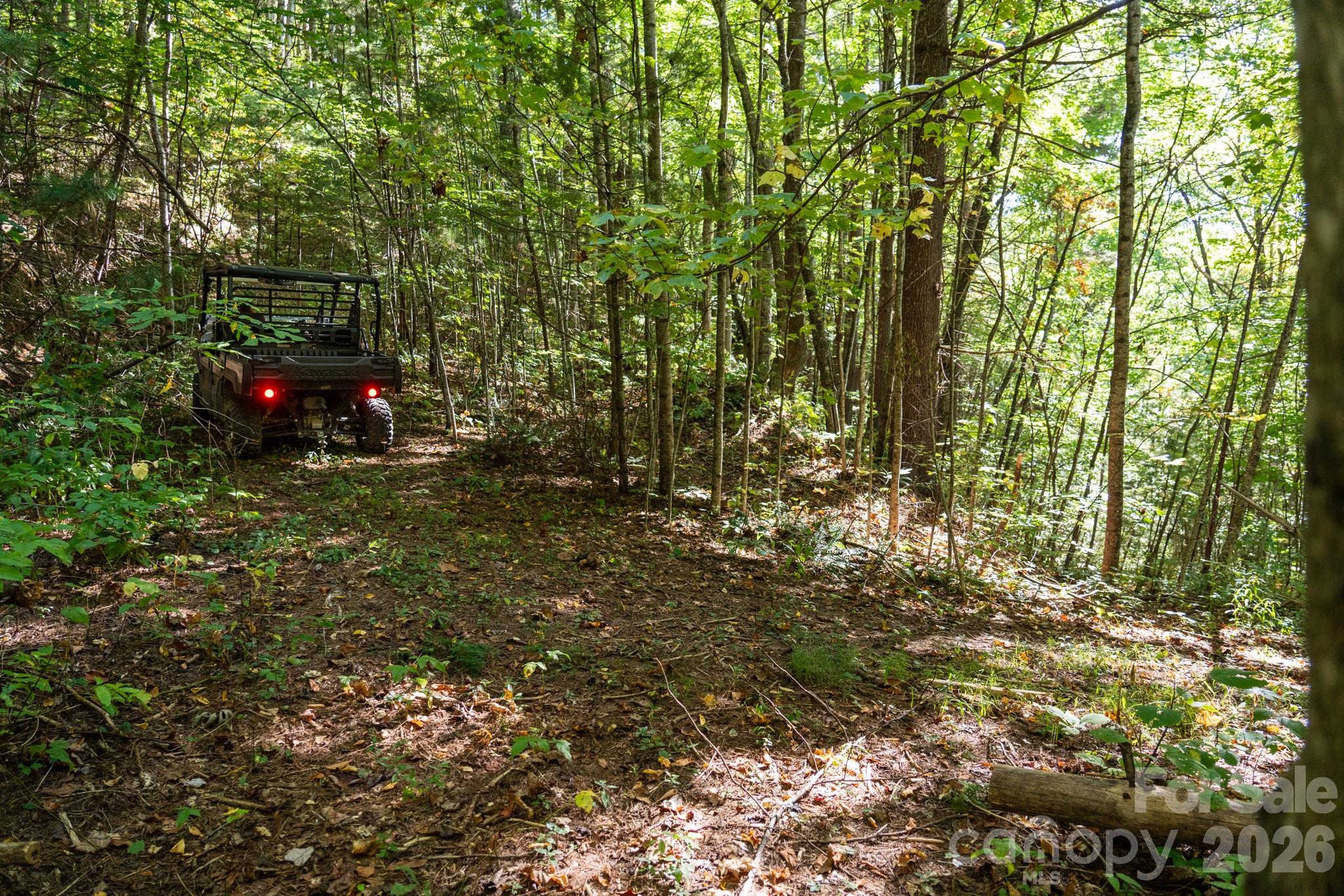 One of many old logging roads on property perfect for hiking or 4x4 adventures - 00 Orion Davis Road, Waynesville