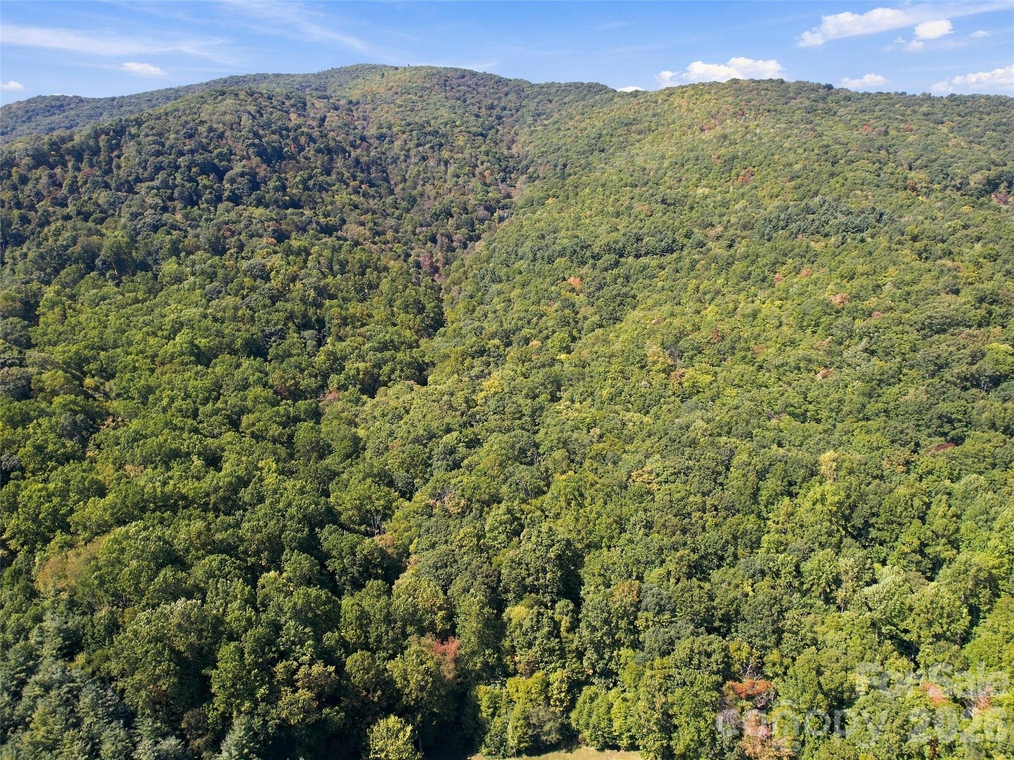 Bordered to the north and west by conserved properties - 00 Orion Davis Road, Waynesville