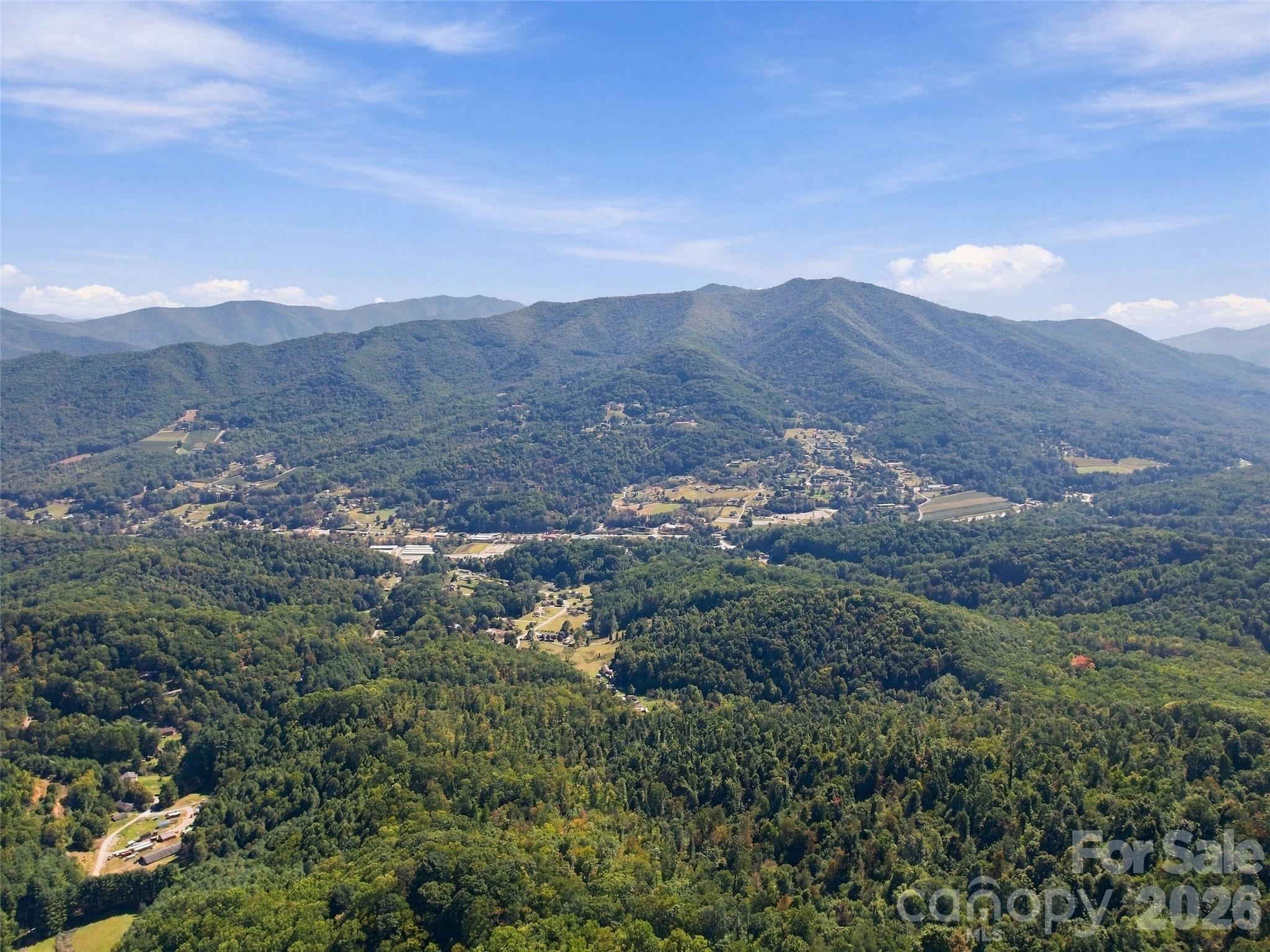 Potential views from homesites face Blue Ridge Parkway and Pisgah National Forest - 00 Orion Davis Road, Waynesville