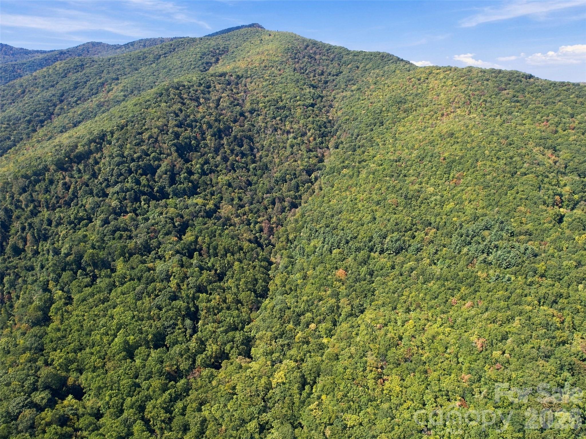 Bordered to the north and west by conserved properties - 00 Orion Davis Road, Waynesville