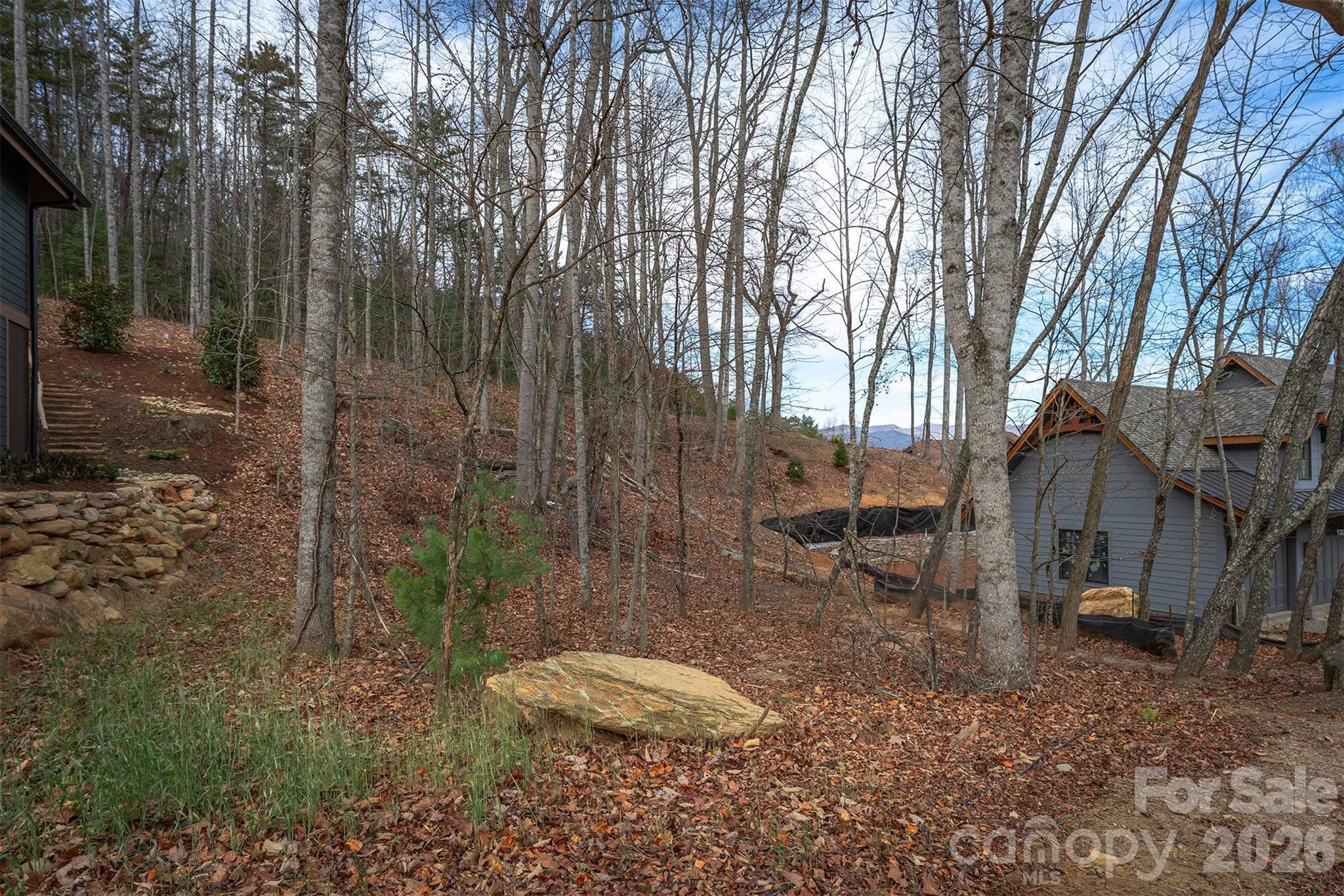 Lot at 31 Old Lafayette Lane, Black Mountain, photo 8 of 76