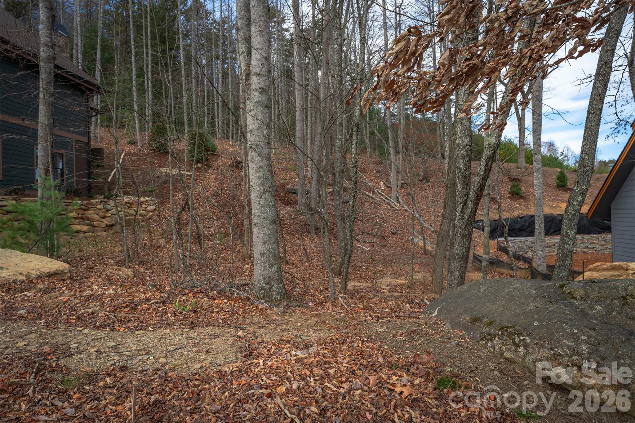 Lot at 31 Old Lafayette Lane, Black Mountain, photo 12 of 76
