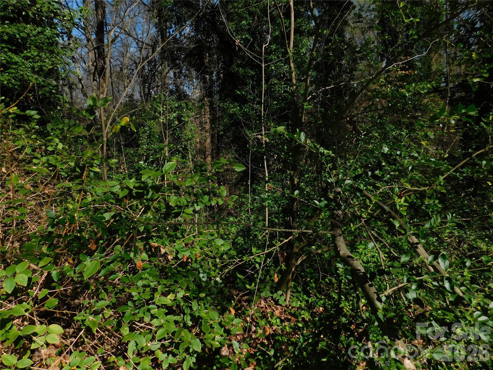 Lot at 000 Todd Drive NE, Concord, photo 2 of 5