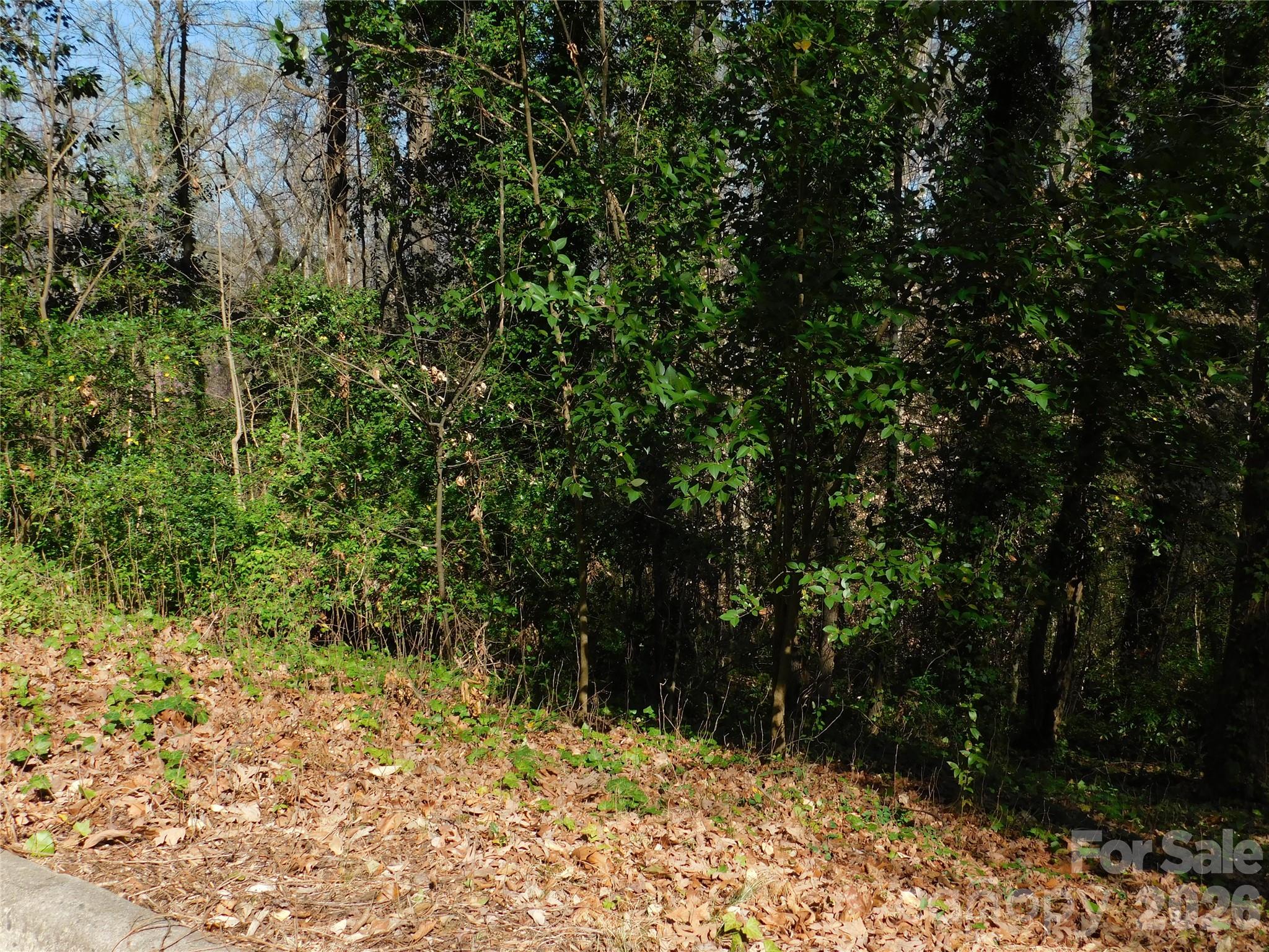 Lot at 000 Todd Drive NE, Concord, photo 5 of 5