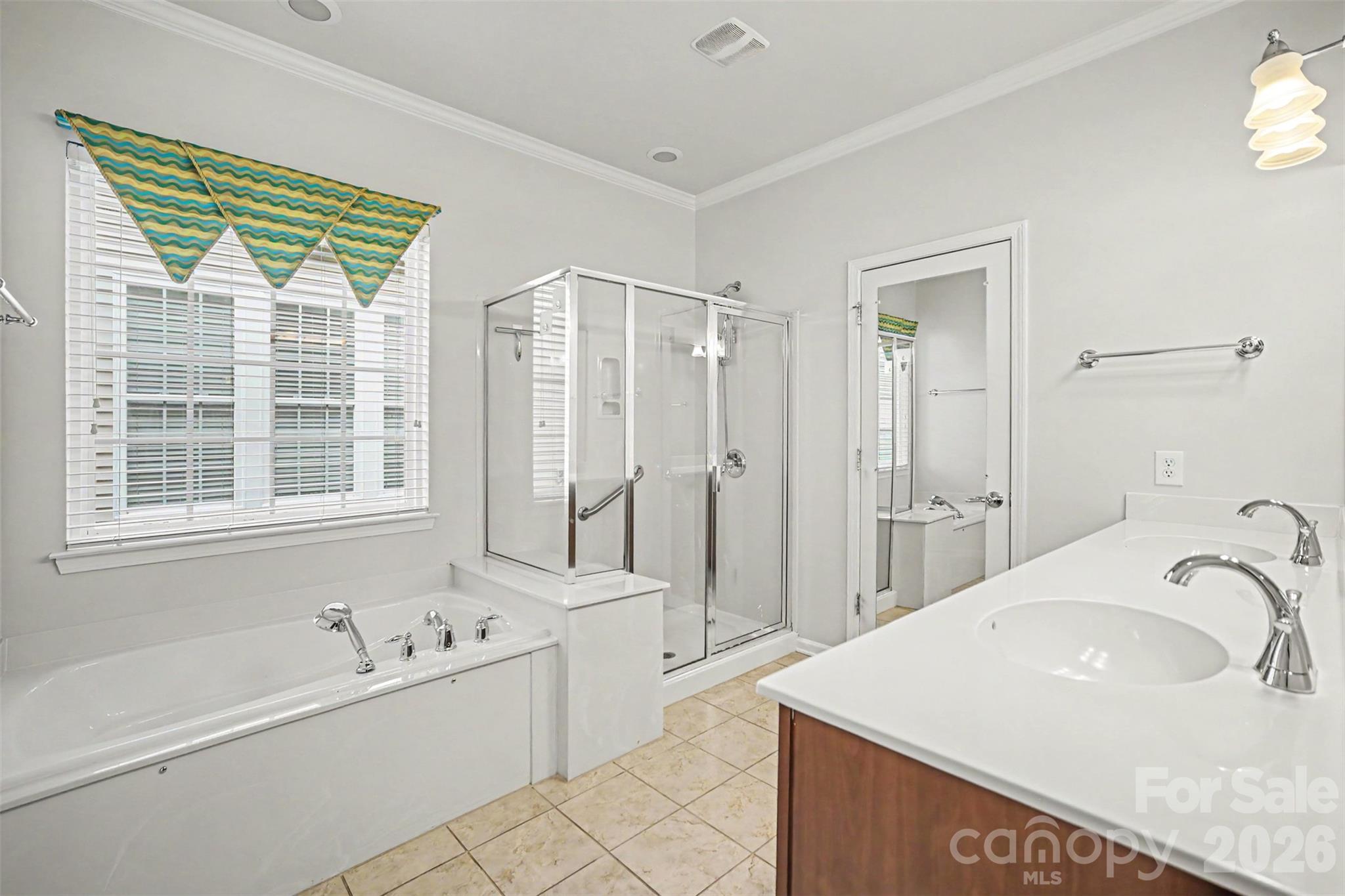 Primary Bath - 52422 Winchester Street, Indian Land