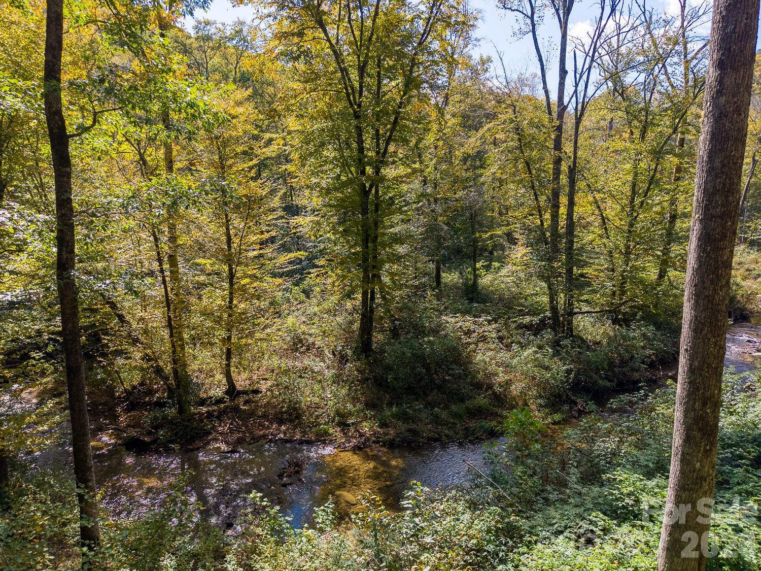 Lot at 00 Little Snowbird Road, Robbinsville, photo 2 of 22