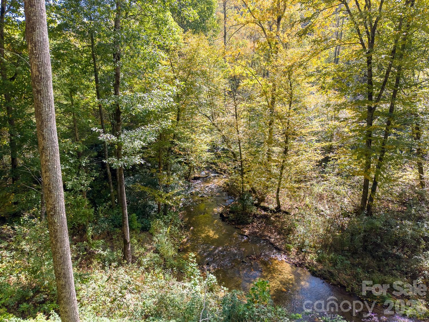 Lot at 00 Little Snowbird Road, Robbinsville, photo 3 of 22