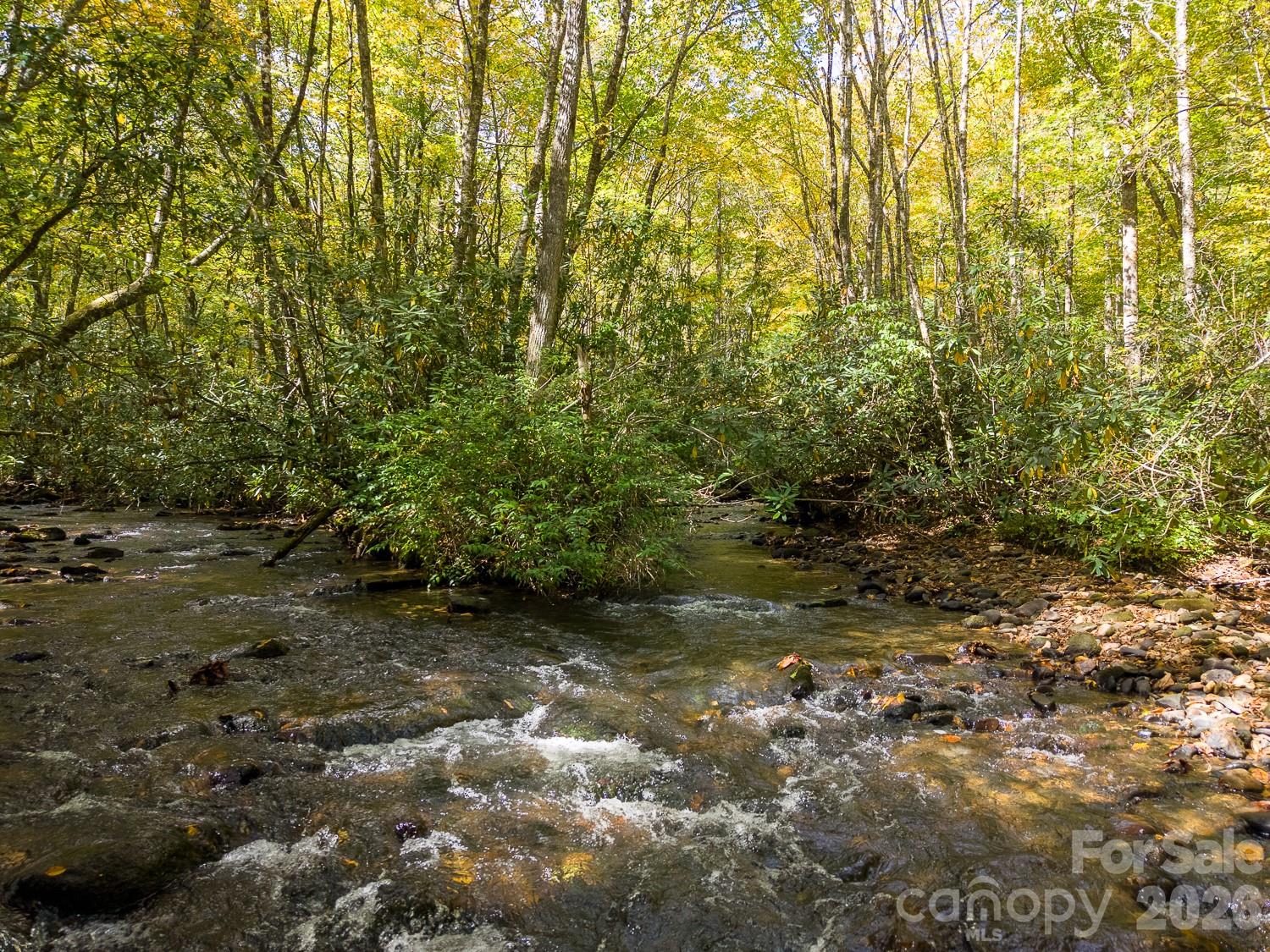 Lot at 00 Little Snowbird Road, Robbinsville, photo 4 of 22