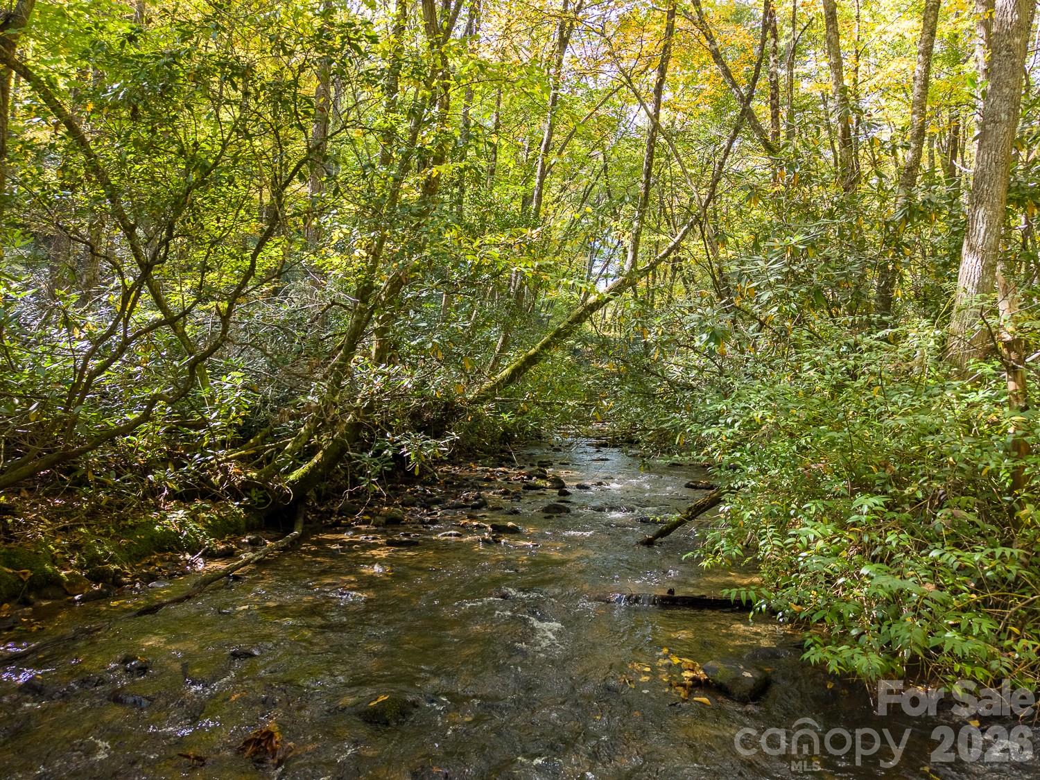 Lot at 00 Little Snowbird Road, Robbinsville, photo 5 of 22