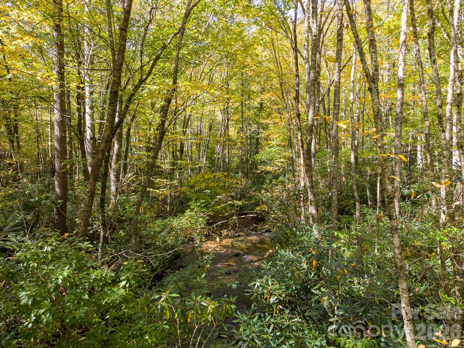 Lot at 00 Little Snowbird Road, Robbinsville, photo 6 of 22