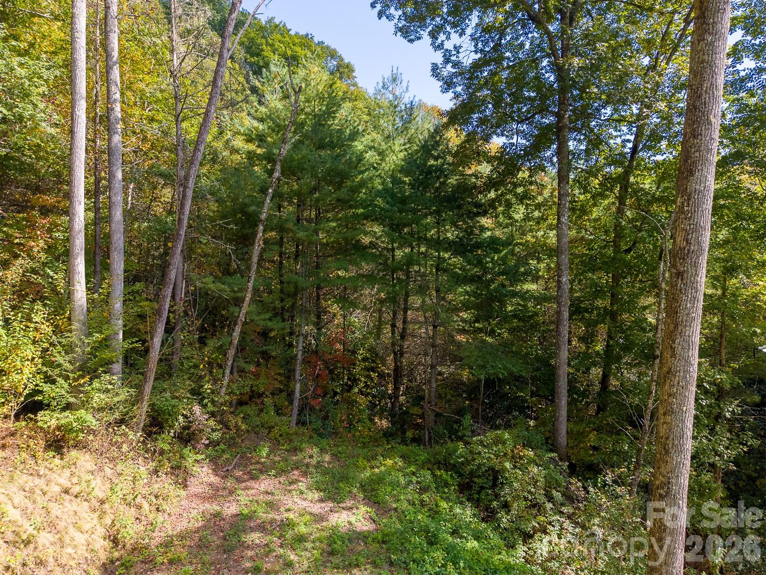 Lot at 00 Little Snowbird Road, Robbinsville, photo 7 of 22