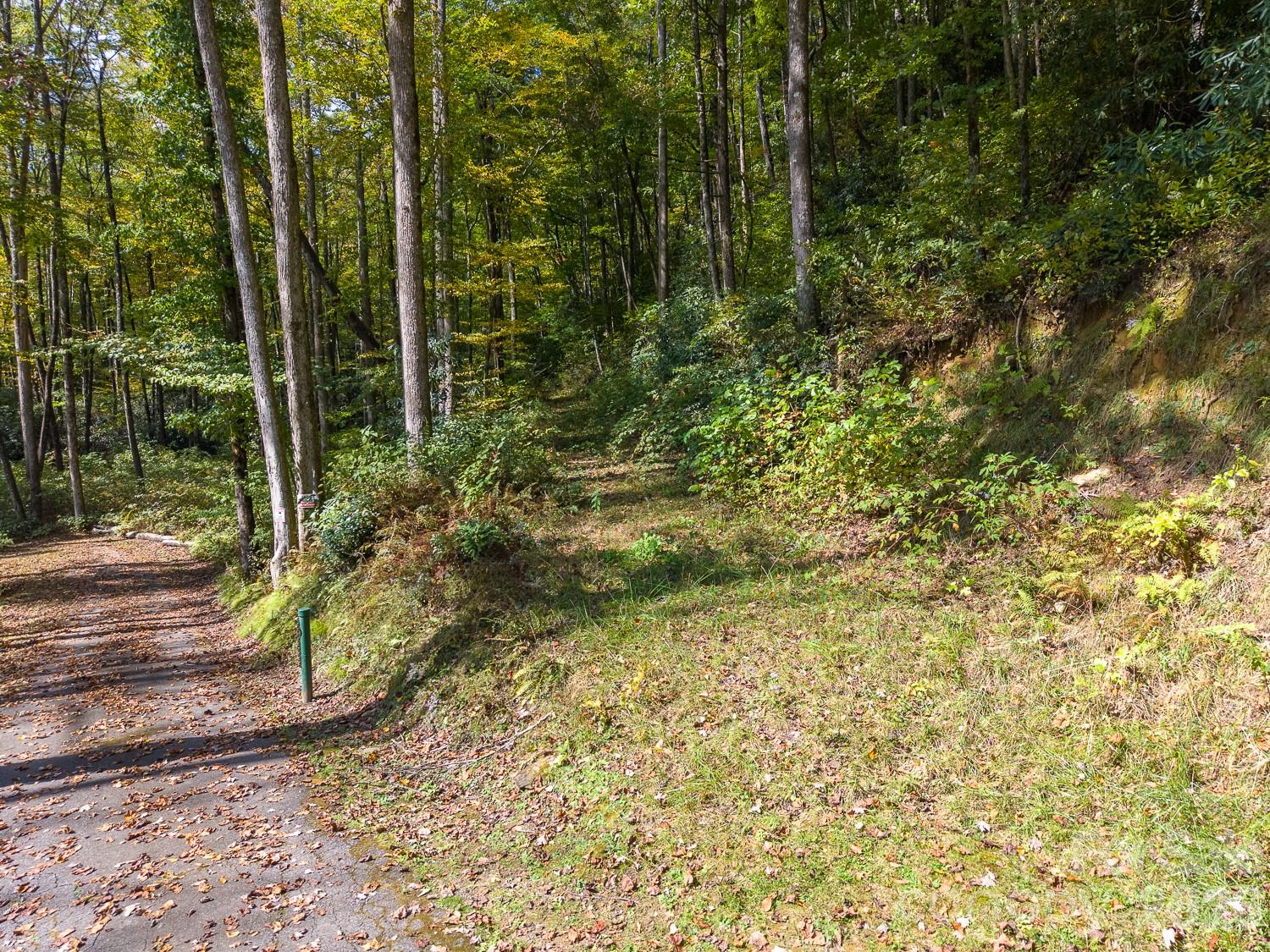 Lot at 00 Little Snowbird Road, Robbinsville, photo 11 of 22