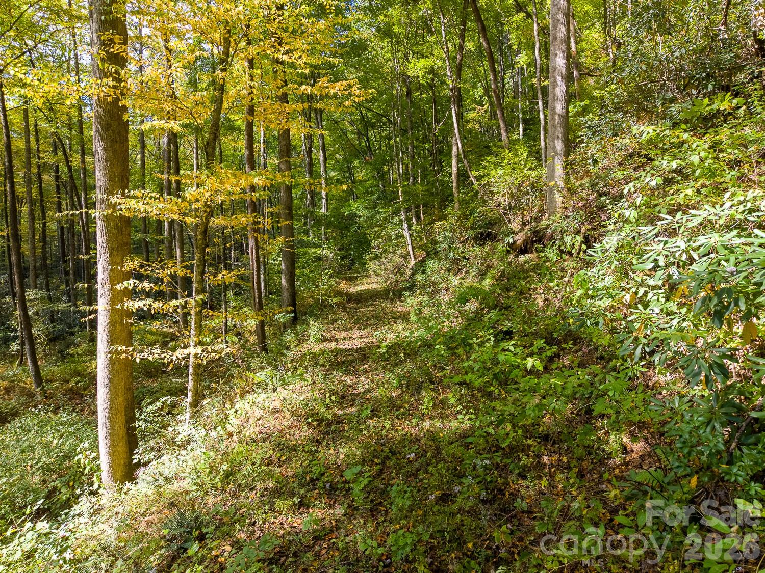 Lot at 00 Little Snowbird Road, Robbinsville, photo 12 of 22