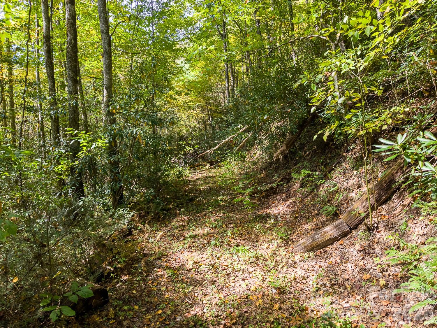 Lot at 00 Little Snowbird Road, Robbinsville, photo 14 of 22