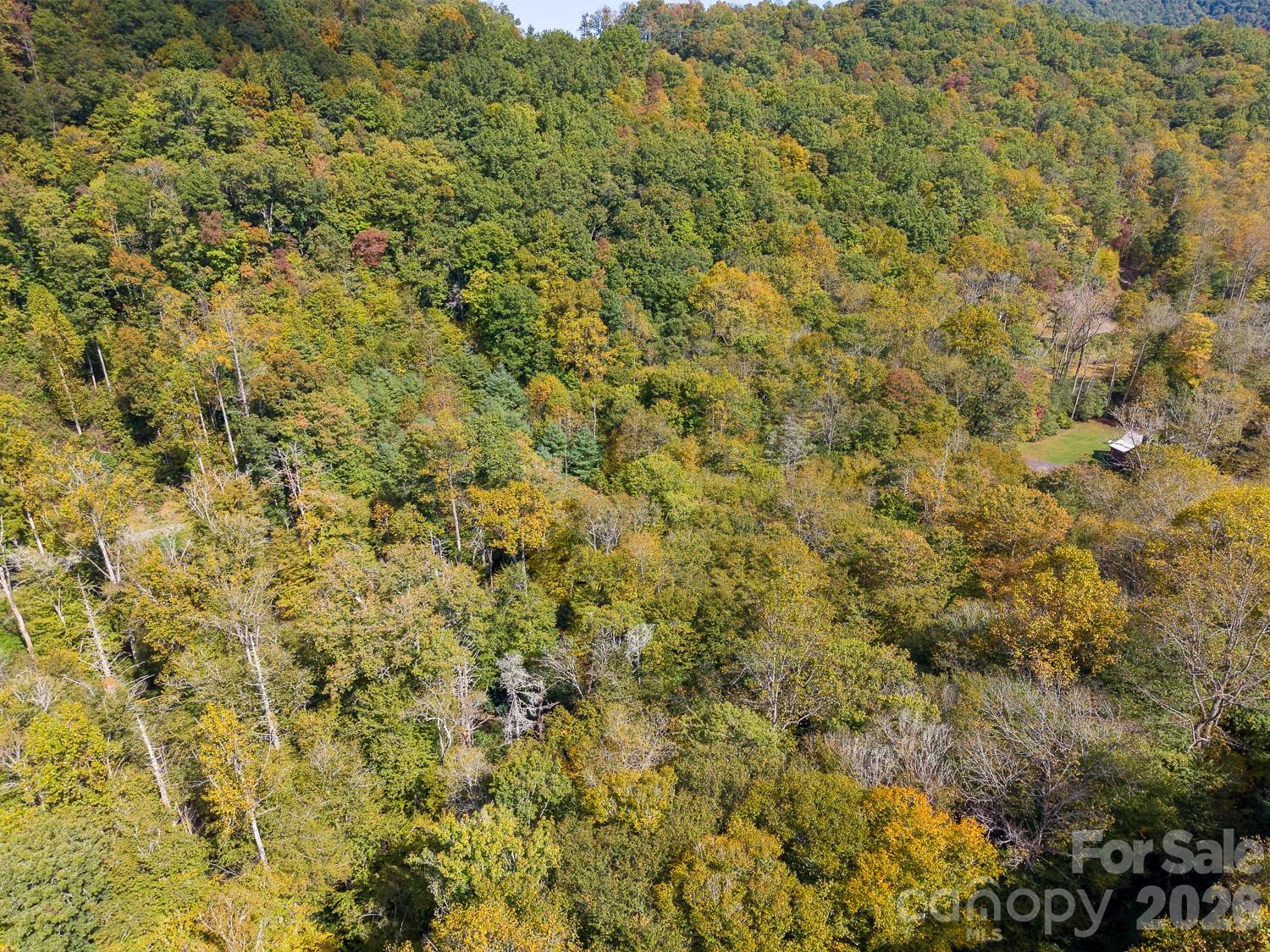 Lot at 00 Little Snowbird Road, Robbinsville, photo 19 of 22