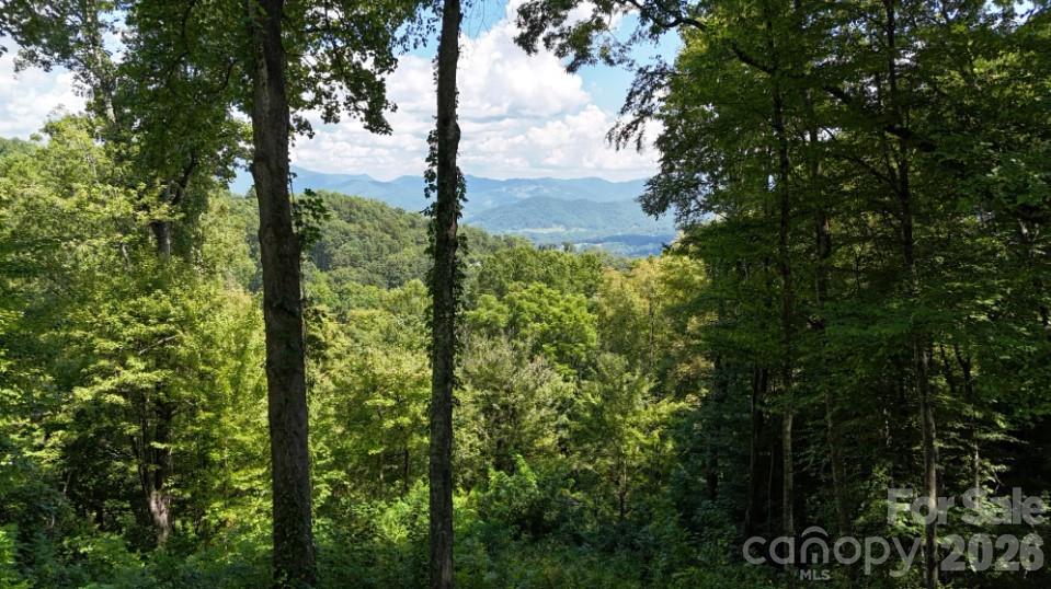 Single Family Residence at 2222 Sleepy Hollow Drive, Waynesville, photo 7 of 16