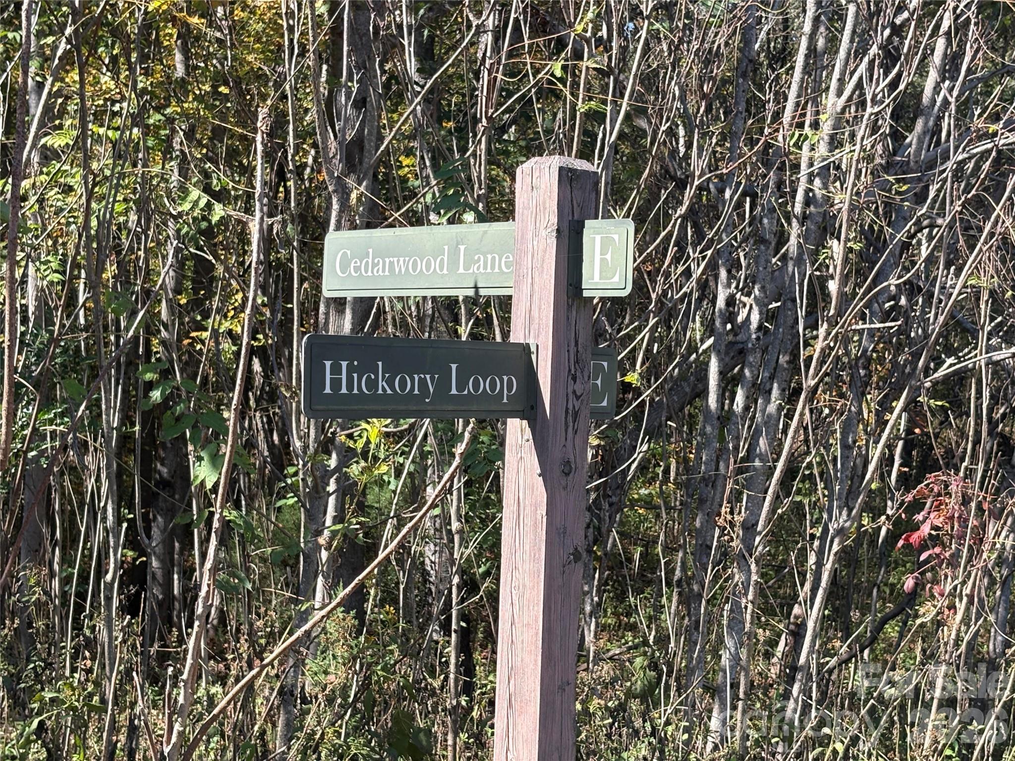 Lot at Lot 15 Hickory Loop, Rutherfordton, photo 4 of 10