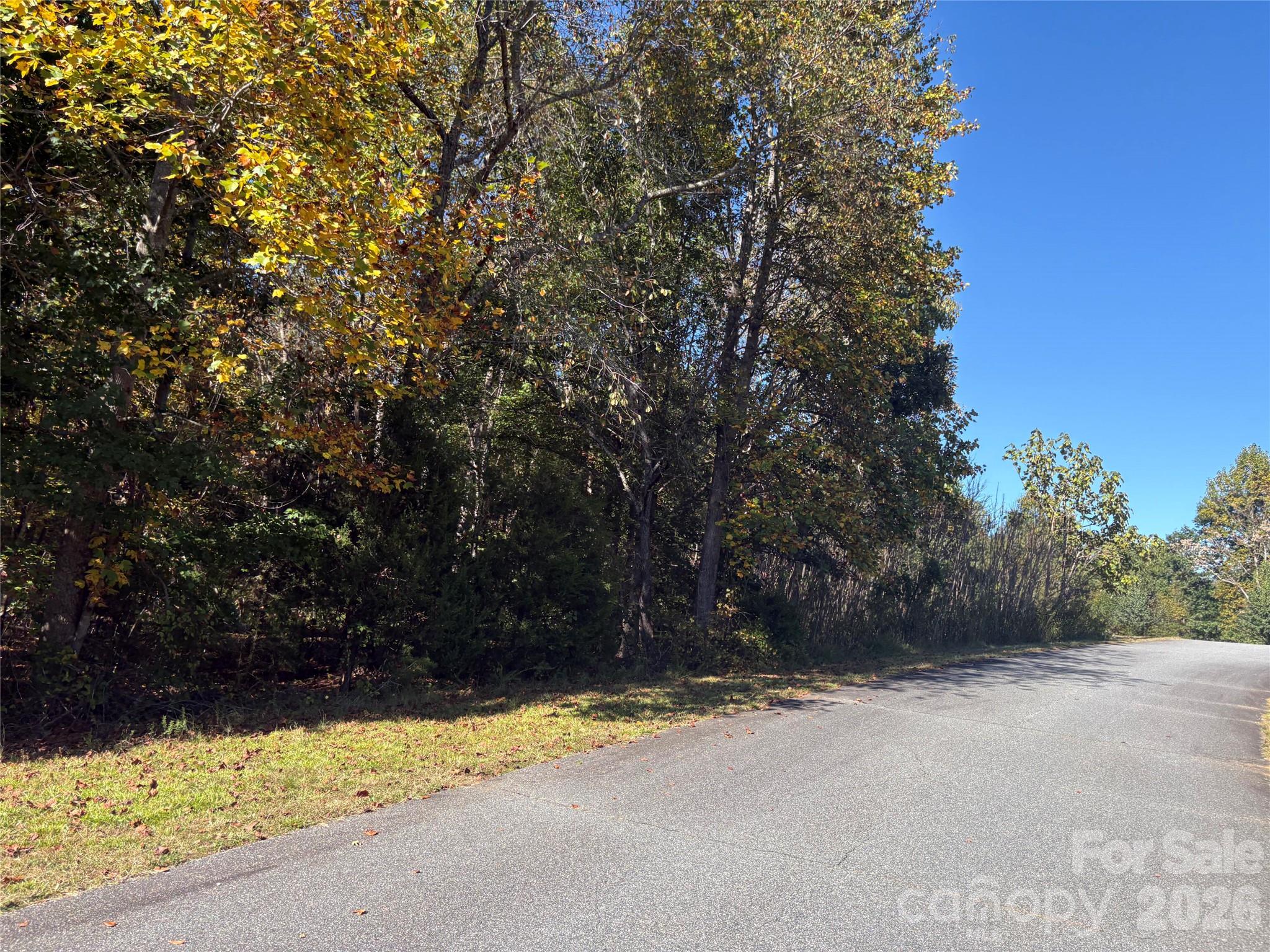 Lot at Lot 15 Hickory Loop, Rutherfordton, photo 5 of 10
