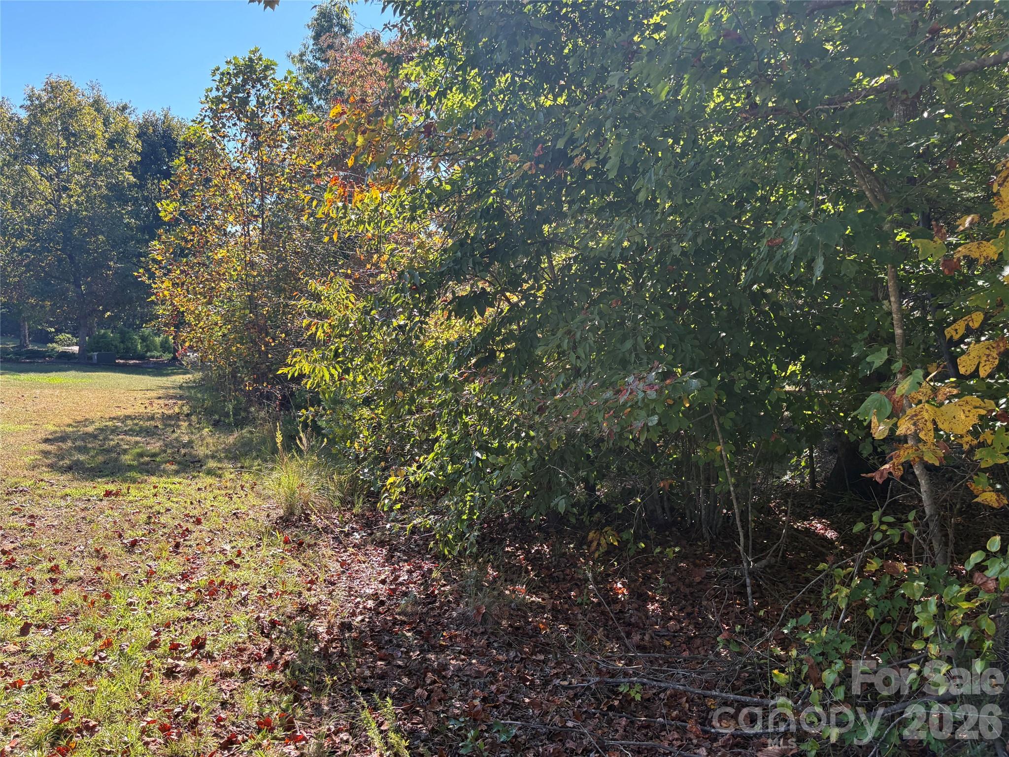 Lot at Lot 15 Hickory Loop, Rutherfordton, photo 8 of 10