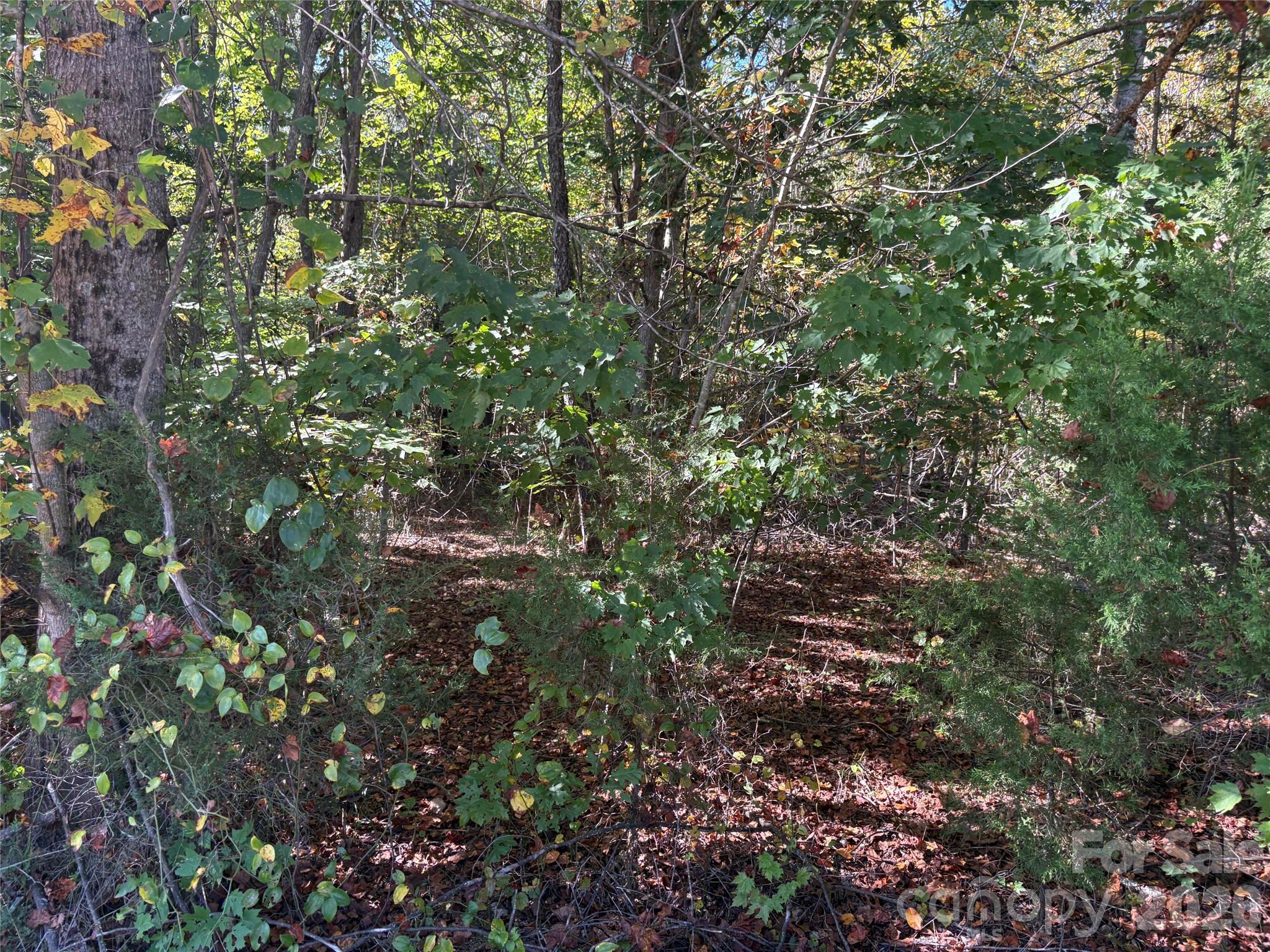 Lot at Lot 15 Hickory Loop, Rutherfordton, photo 9 of 10