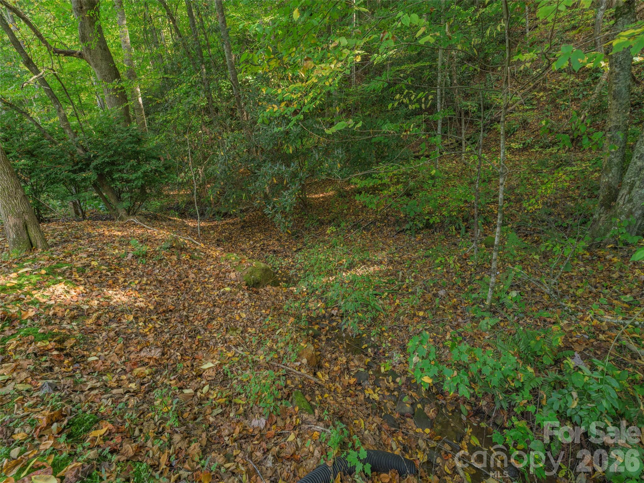 Single Family Residence at 99 Cripple Creek Road, Waynesville, photo 29 of 33