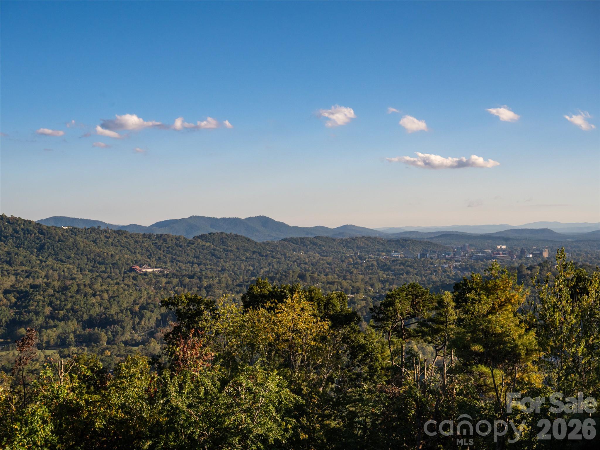 Single Family Residence at 637 Altamont View, Asheville, photo 26 of 48