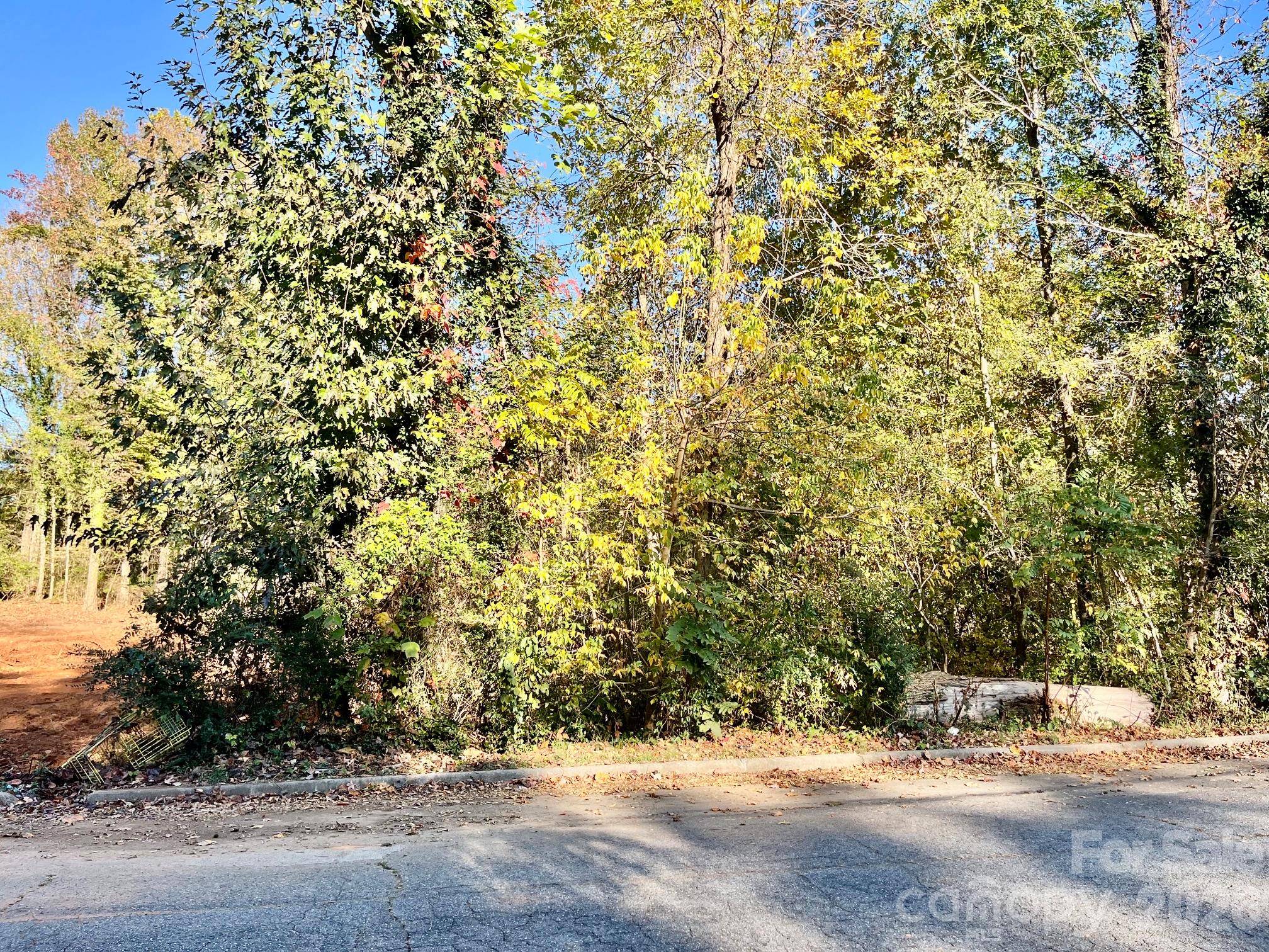 Lot at 0 Tanglewood Drive, East Spencer, photo 2 of 4