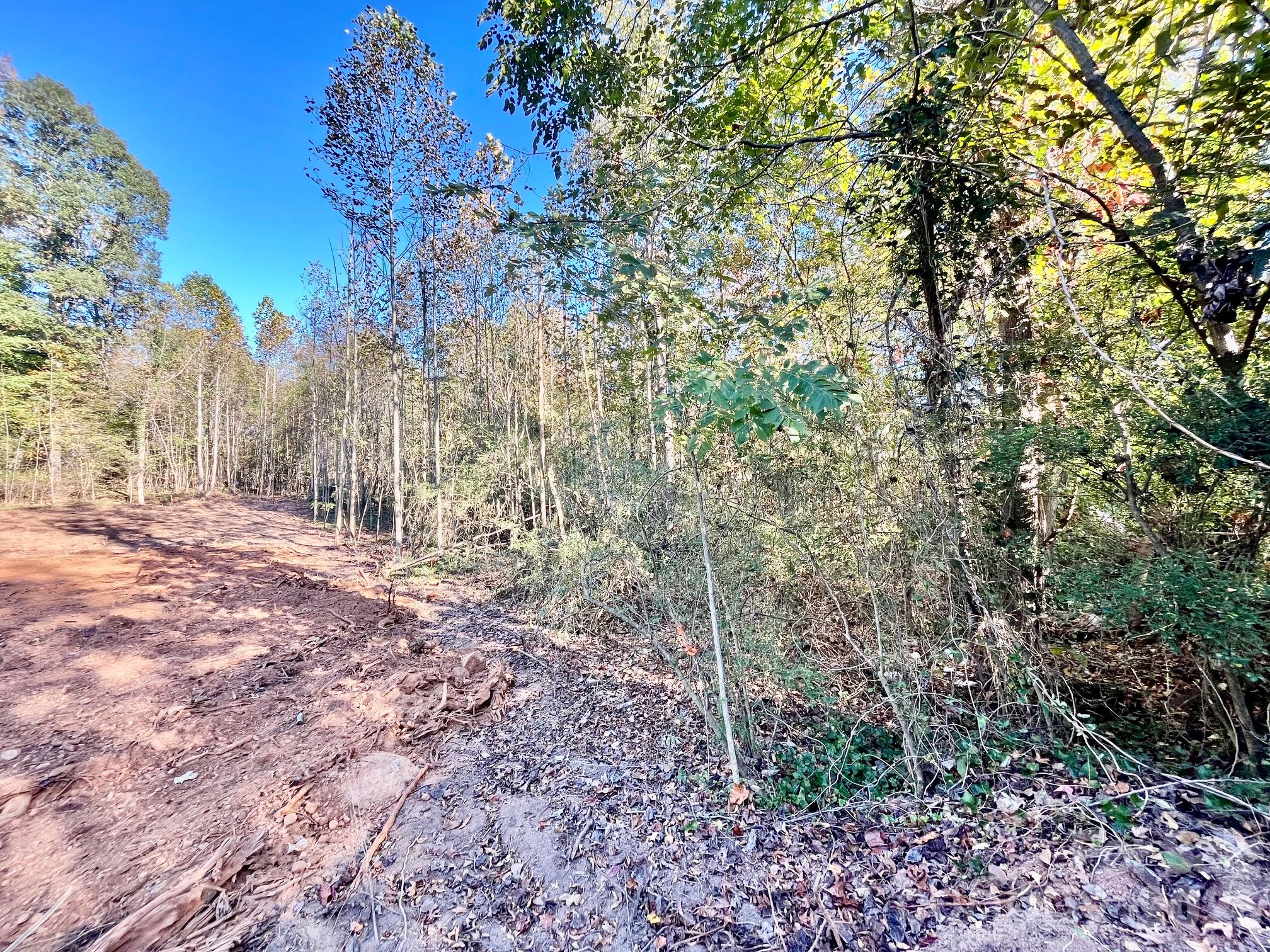 Lot at 0 Tanglewood Drive, East Spencer, photo 3 of 4
