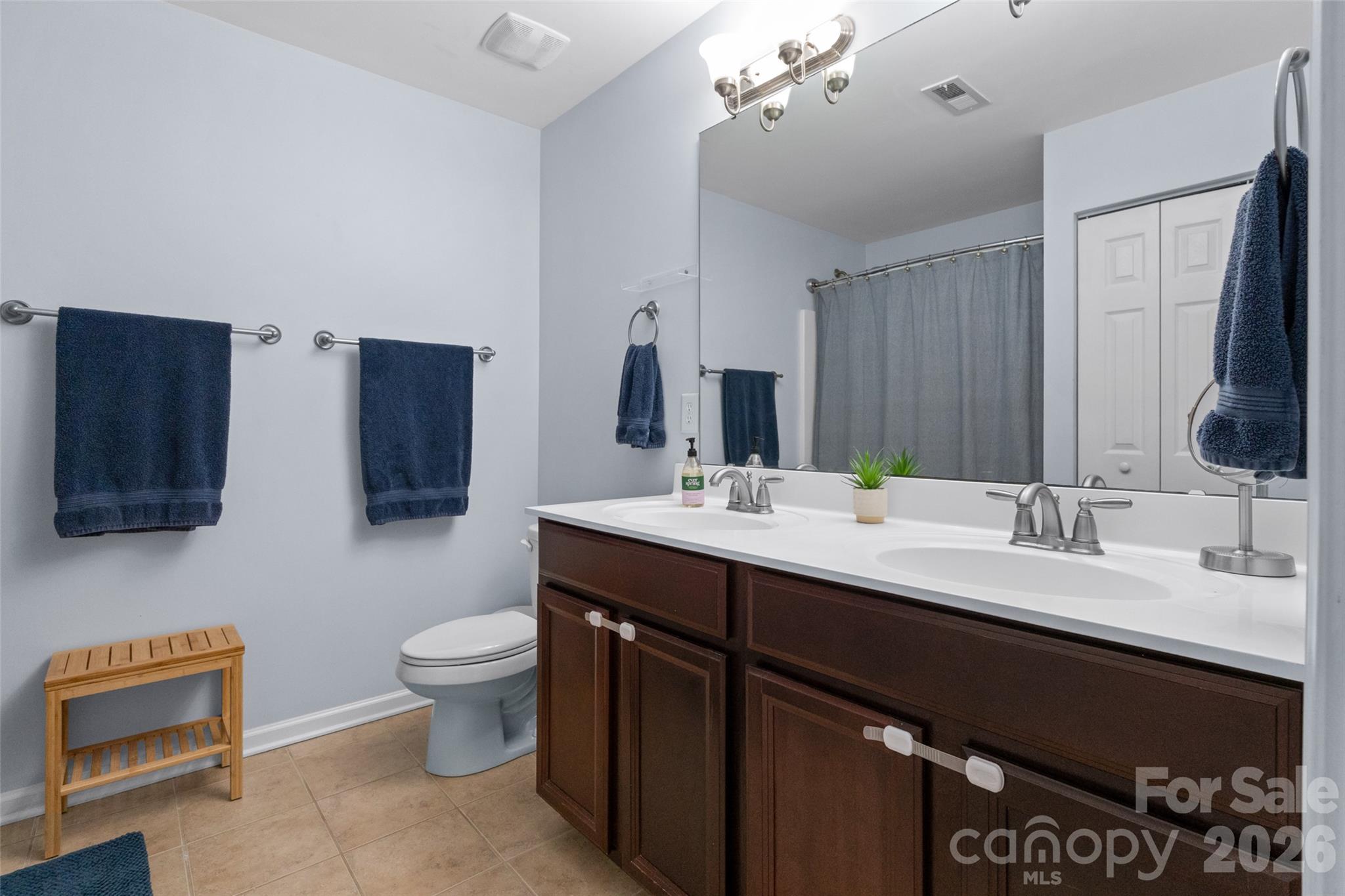 Primary Bathroom - 837 Lion Lane, Fort Mill