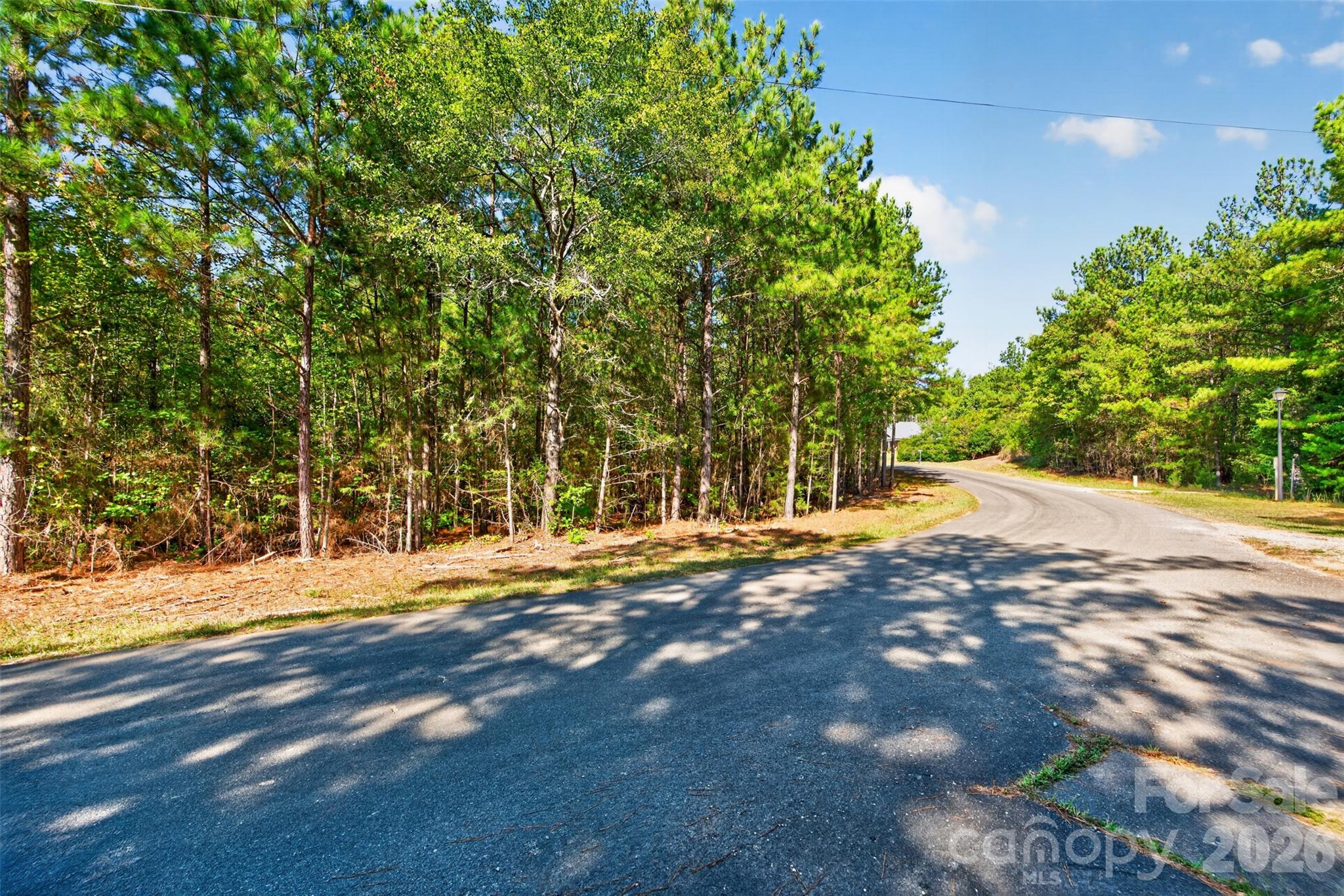 Acreage at 0 Hwy 21 & Brunson Rd Brunson Road, Fort Lawn, photo 9 of 26