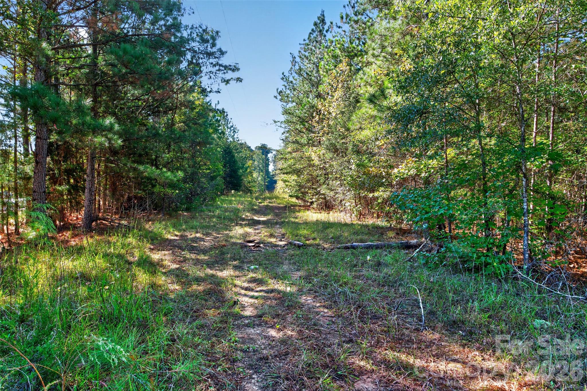Acreage at 0 Hwy 21 & Brunson Rd Brunson Road, Fort Lawn, photo 11 of 26