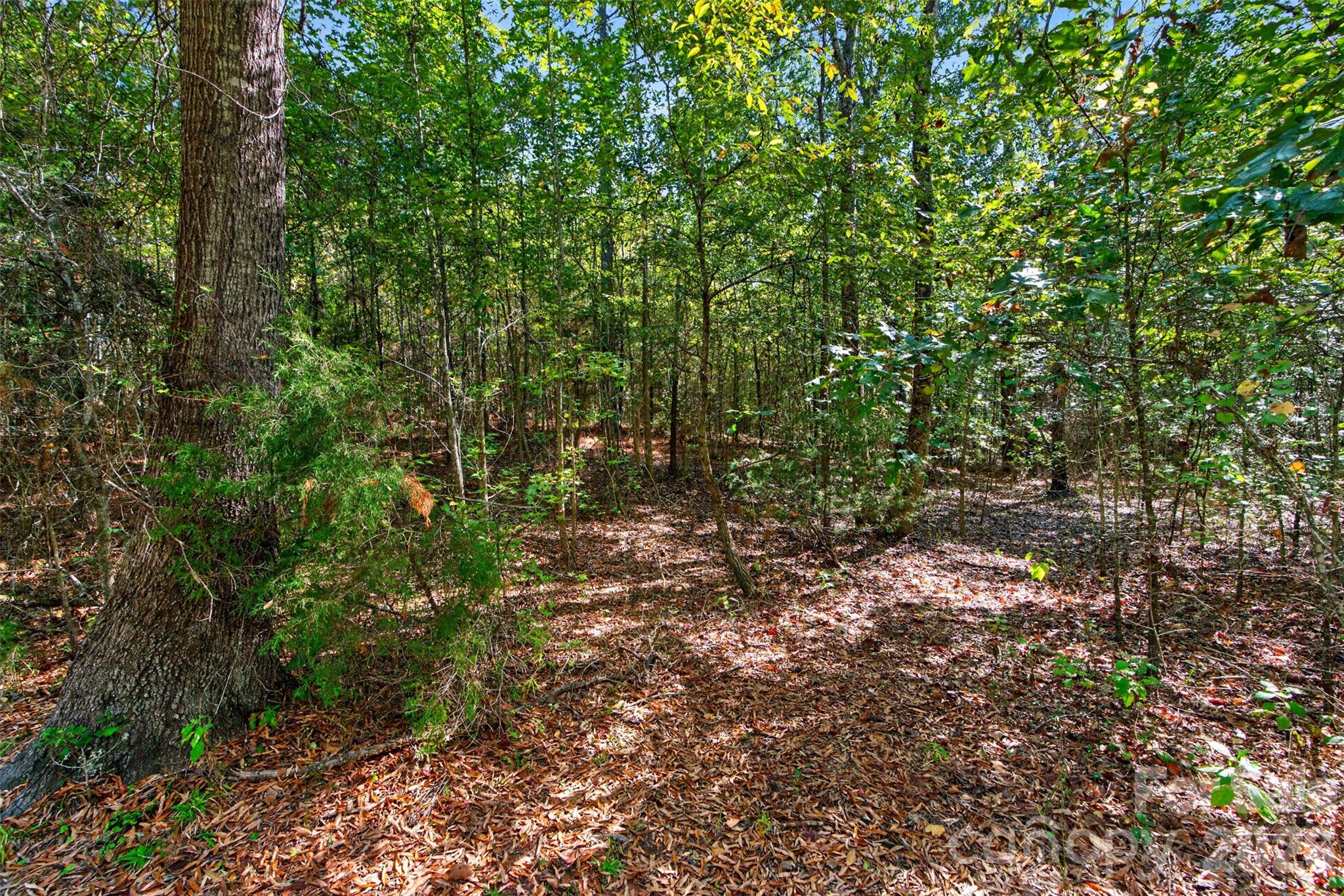Acreage at 0 Hwy 21 & Brunson Rd Brunson Road, Fort Lawn, photo 13 of 26