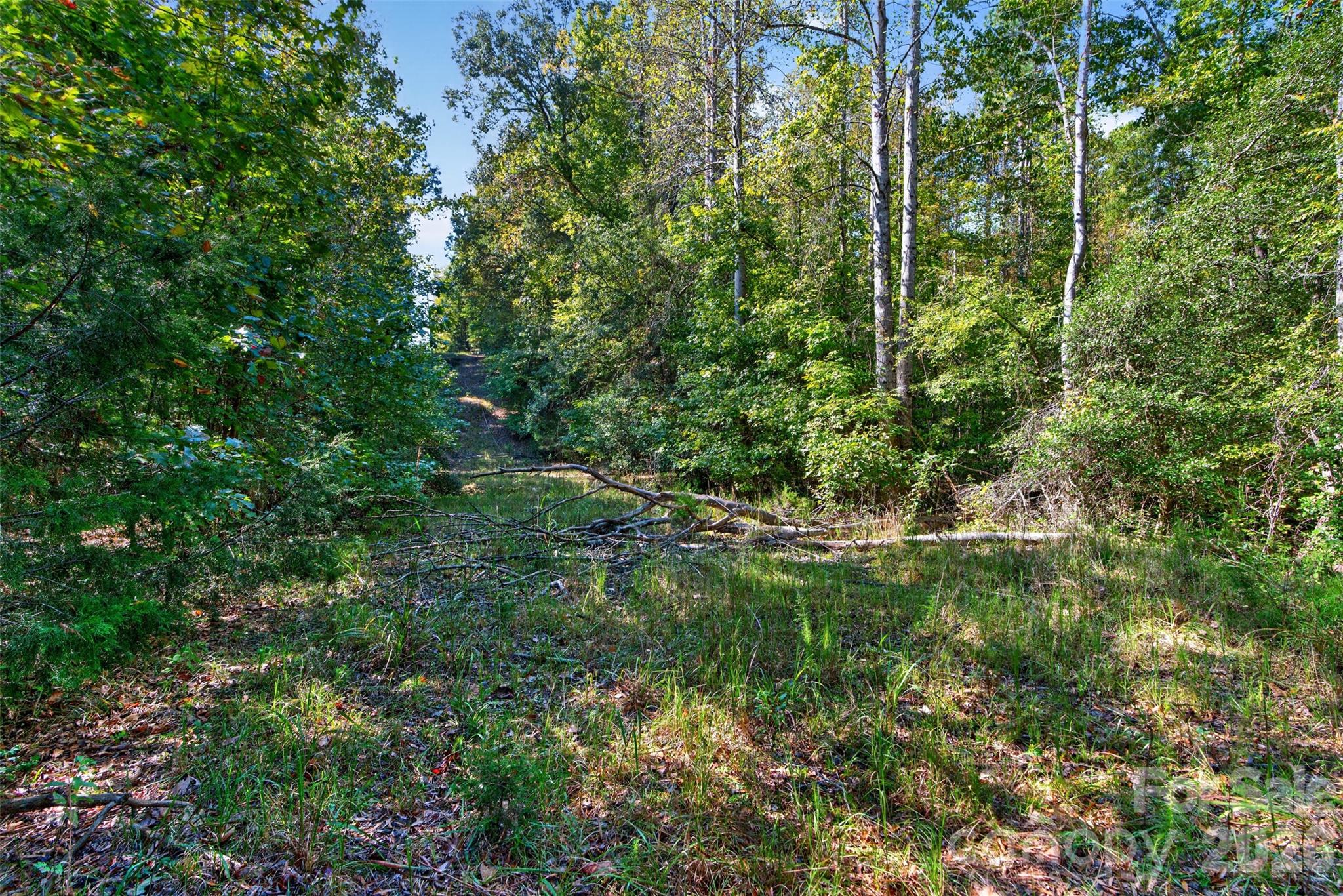 Acreage at 0 Hwy 21 & Brunson Rd Brunson Road, Fort Lawn, photo 14 of 26