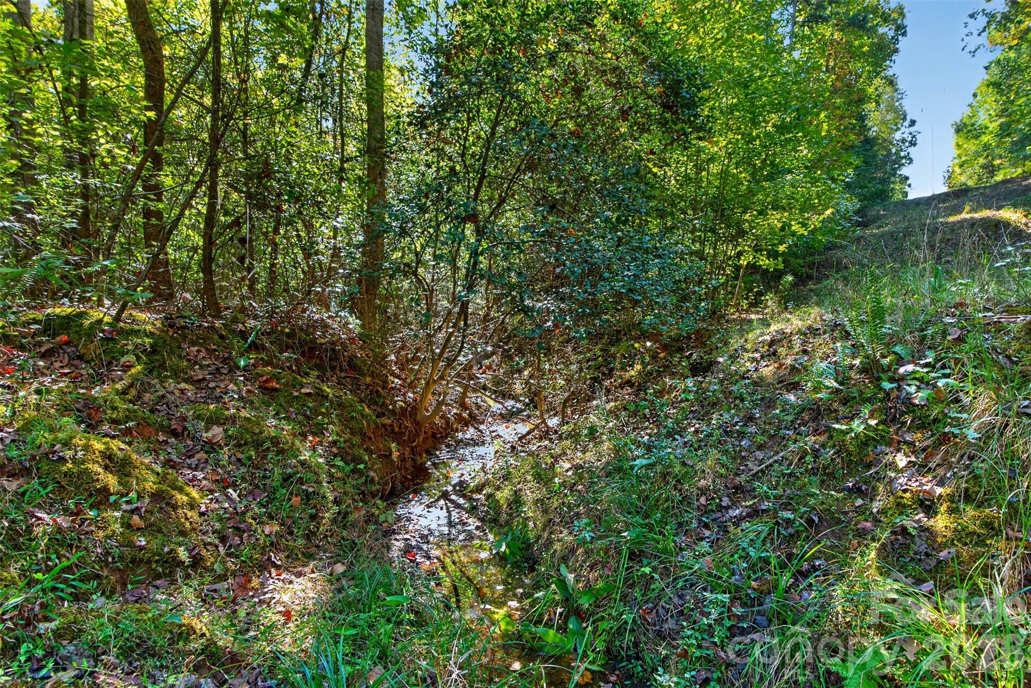 Acreage at 0 Hwy 21 & Brunson Rd Brunson Road, Fort Lawn, photo 15 of 26