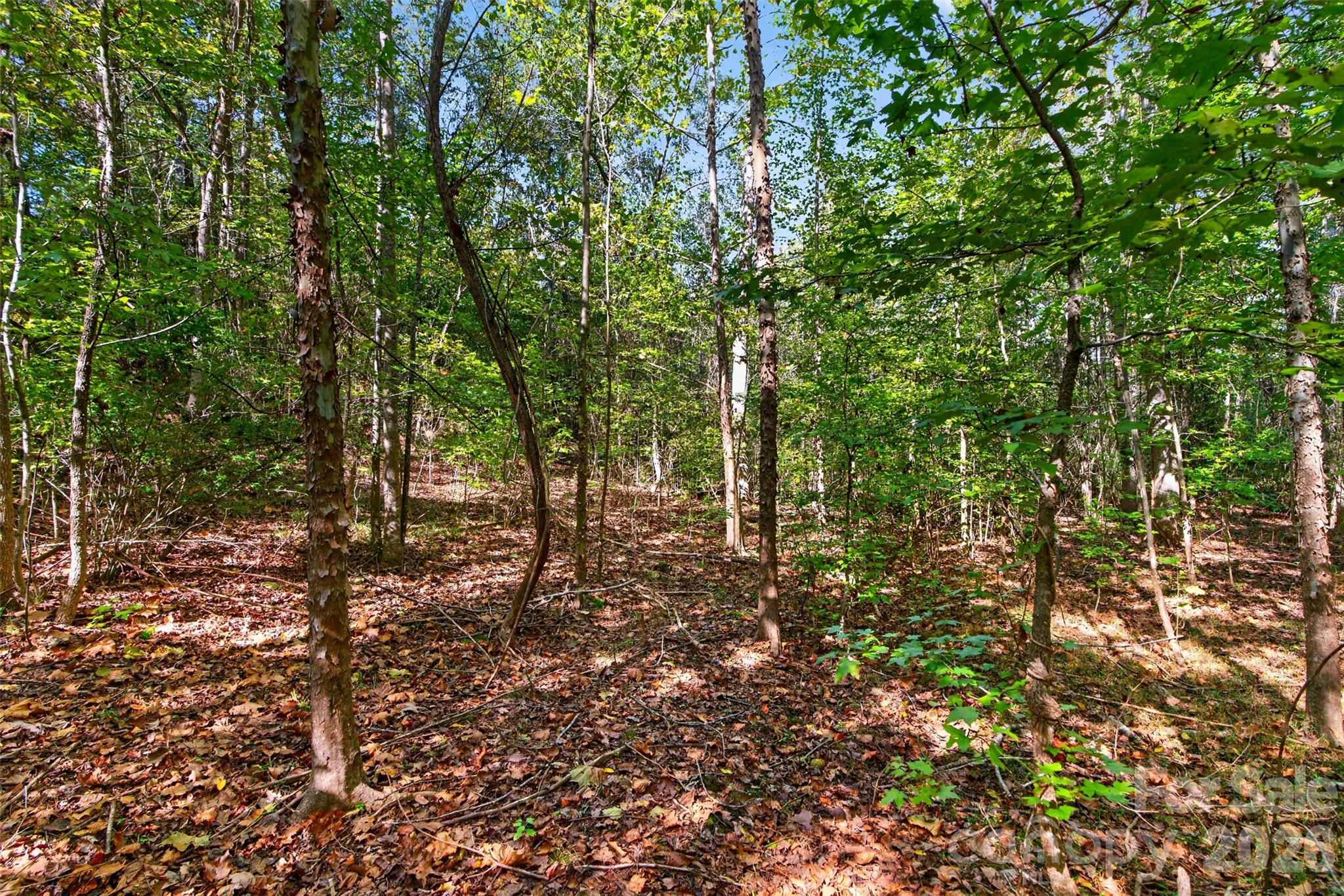 Acreage at 0 Hwy 21 & Brunson Rd Brunson Road, Fort Lawn, photo 18 of 26