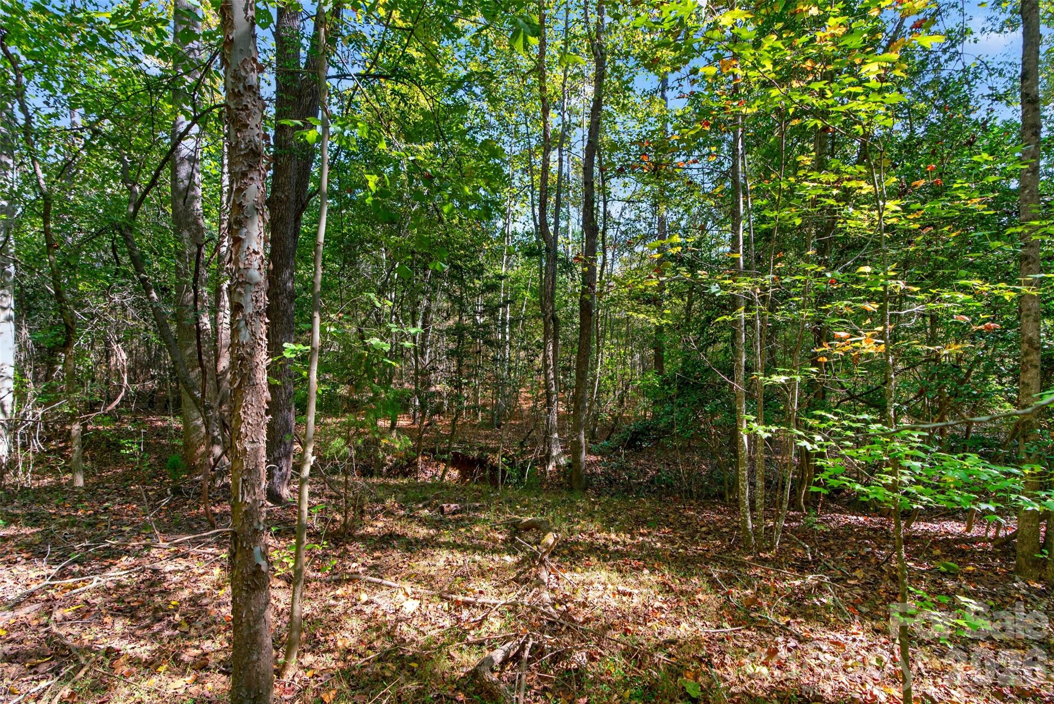 Acreage at 0 Hwy 21 & Brunson Rd Brunson Road, Fort Lawn, photo 20 of 26