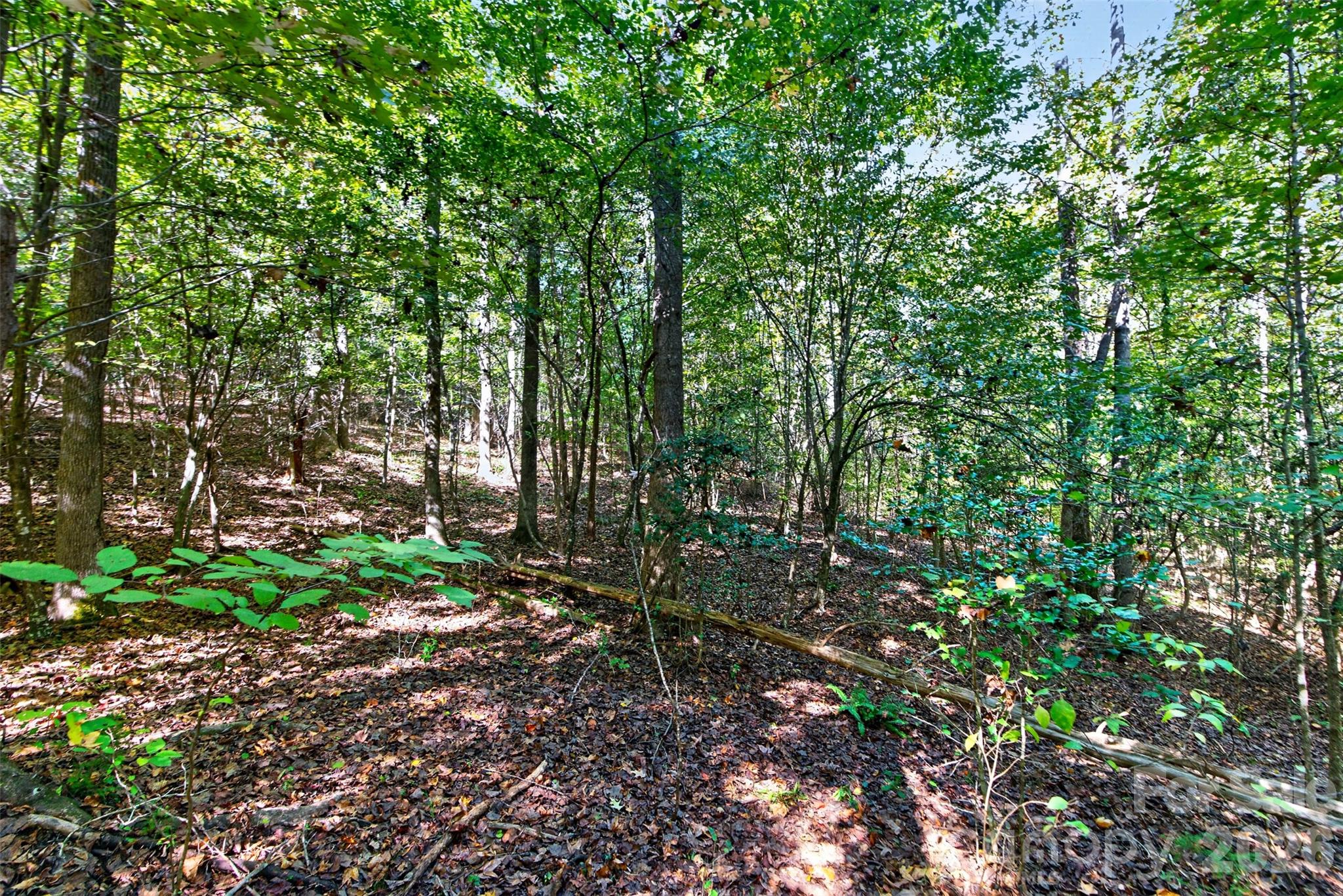 Acreage at 0 Hwy 21 & Brunson Rd Brunson Road, Fort Lawn, photo 22 of 26
