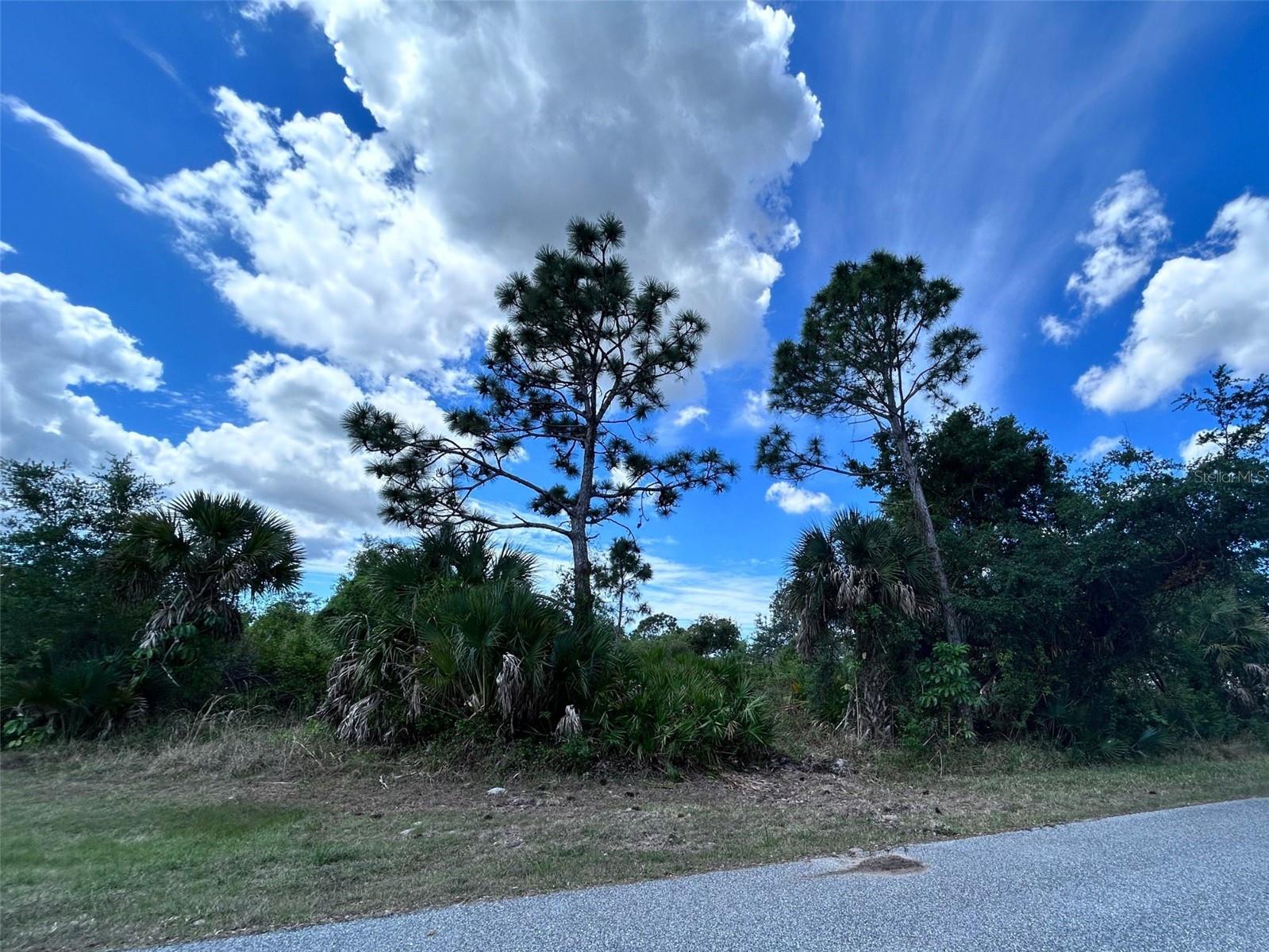 View from Grace Ave - 12231 GRACE AVE, PORT CHARLOTTE