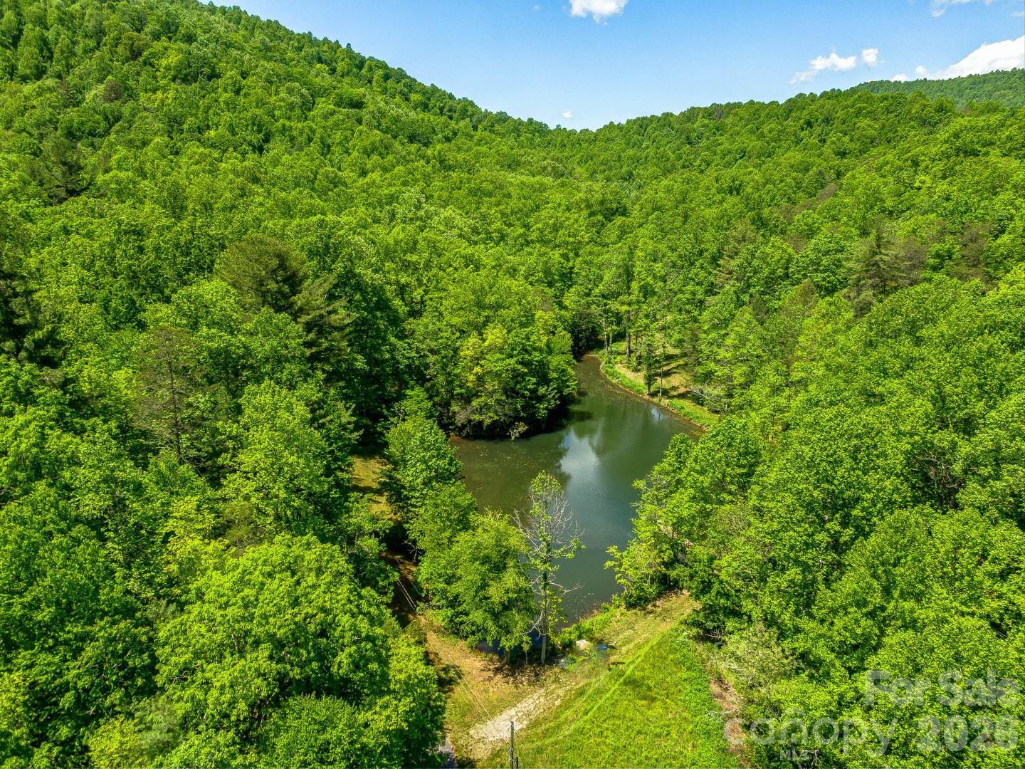Acreage at 336A S Bobs Creek Road, Zirconia, photo 5 of 14