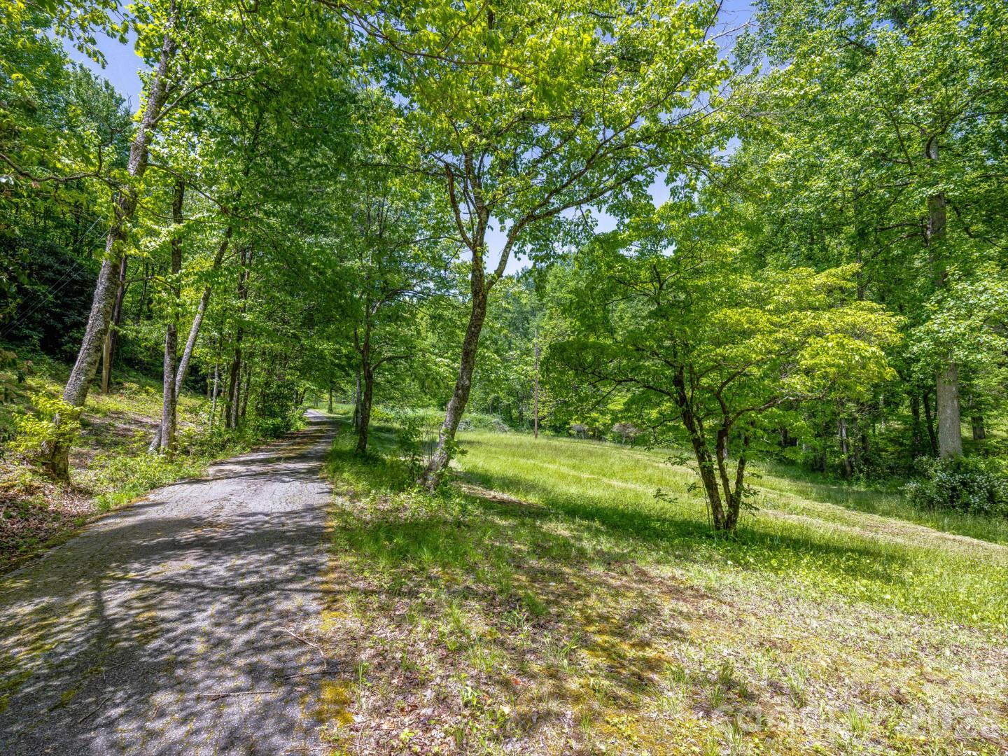 Acreage at 336A S Bobs Creek Road, Zirconia, photo 11 of 14