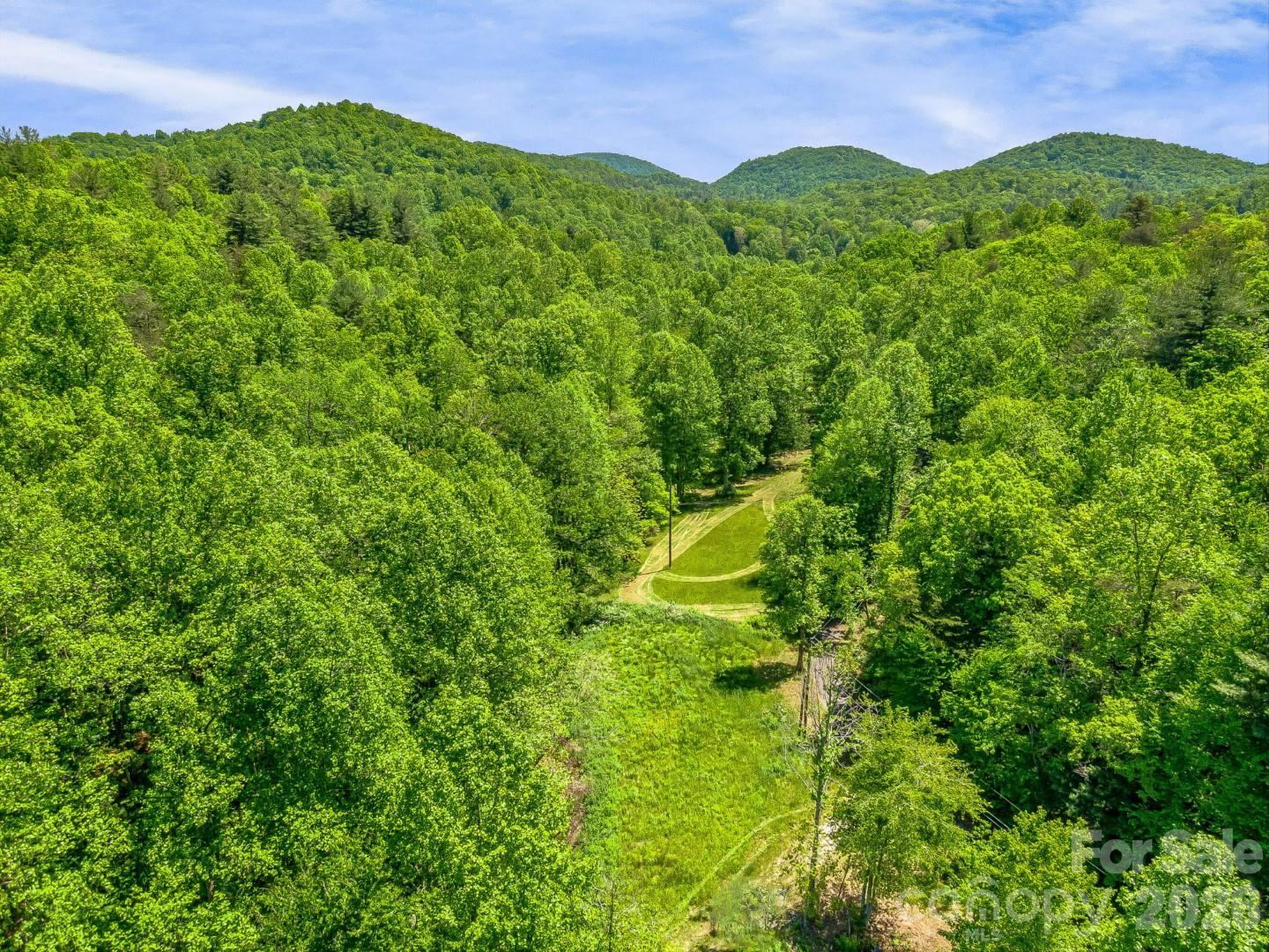Acreage at 336A S Bobs Creek Road, Zirconia, photo 13 of 14