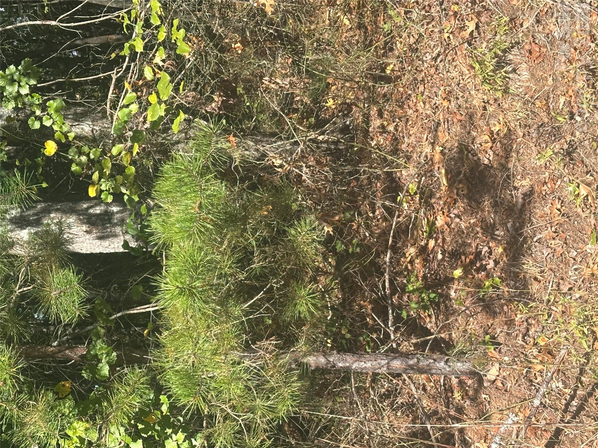 Lot 6 Saint Andrews Drive