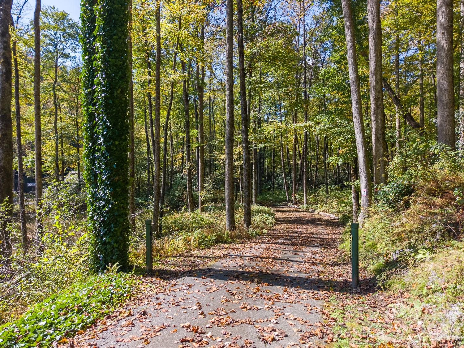 Driveway 1 - 7810 Little Snowbird Road, Robbinsville