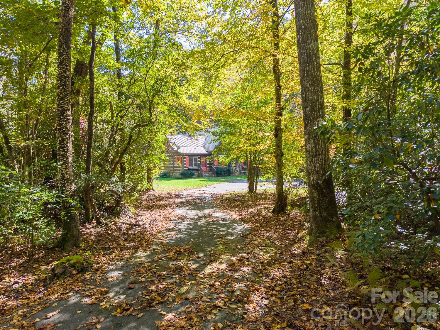 Driveway 2 - 7810 Little Snowbird Road, Robbinsville
