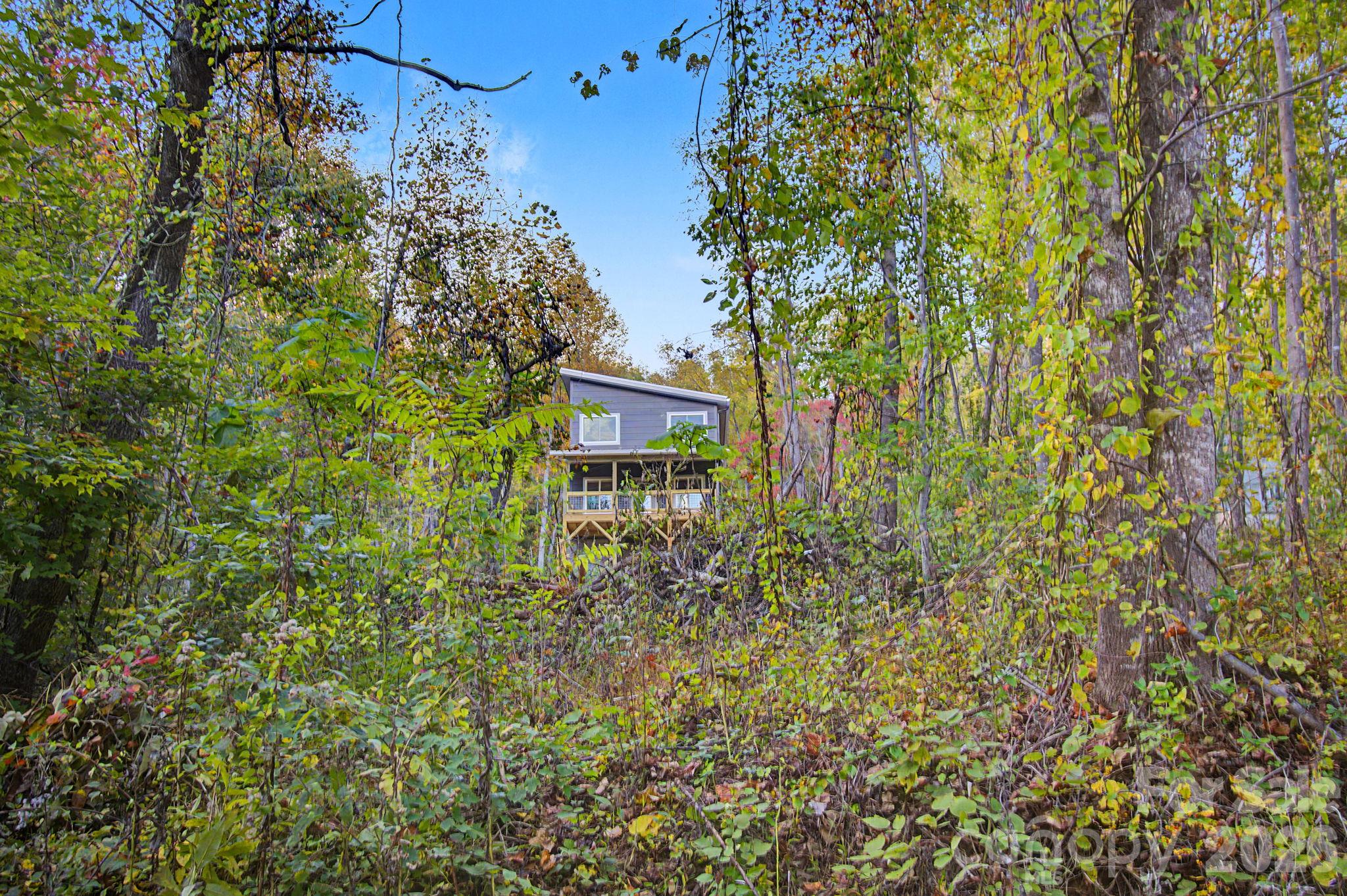 Single Family Residence at 84 Skip Stone Road, Asheville, photo 5 of 49