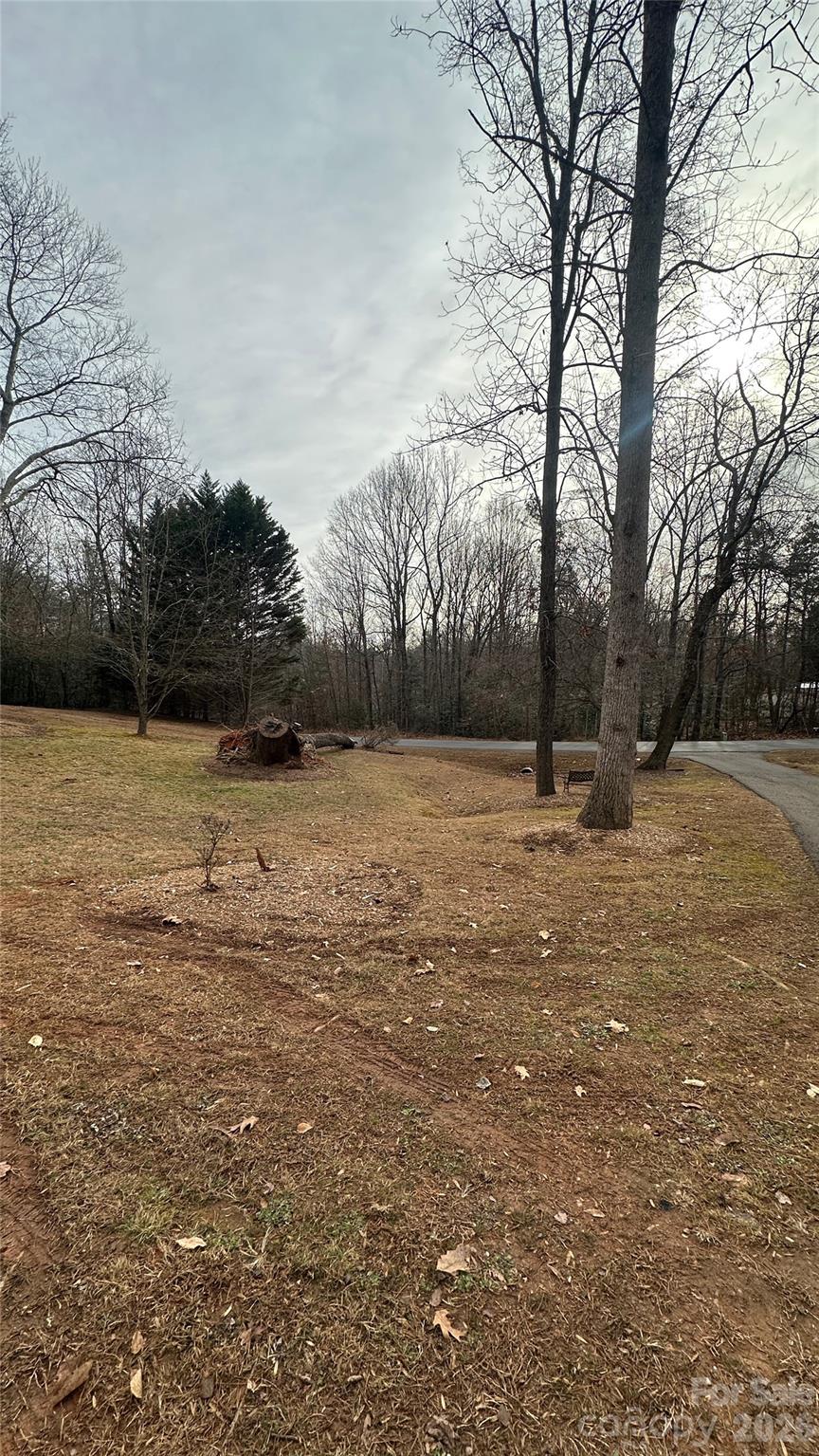 Single Family Residence at 194 Canfield Drive, Olin, photo 4 of 17