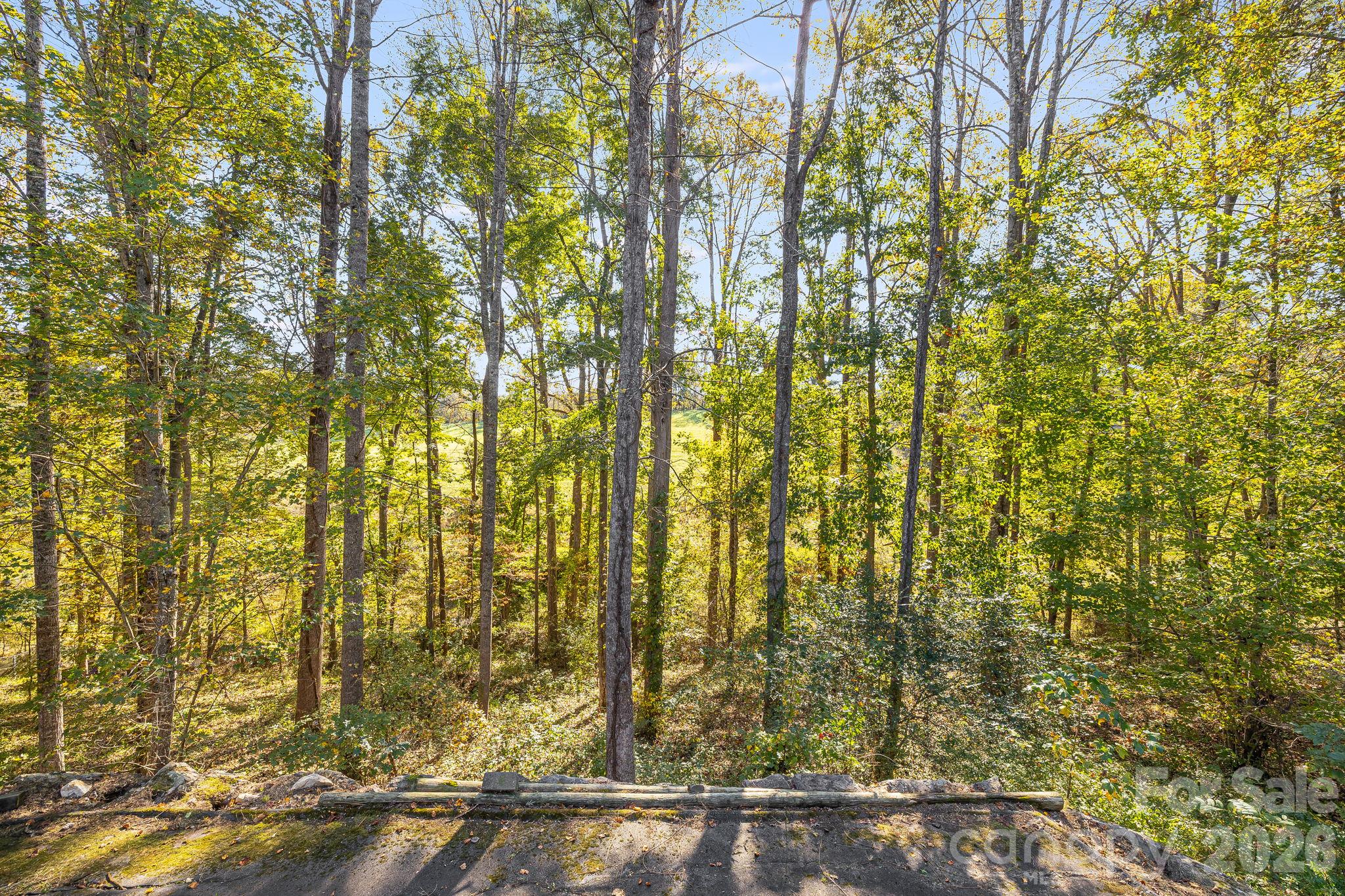 Super Quiet Location with lovely woods behind home - 104 Paramount Drive, Leicester