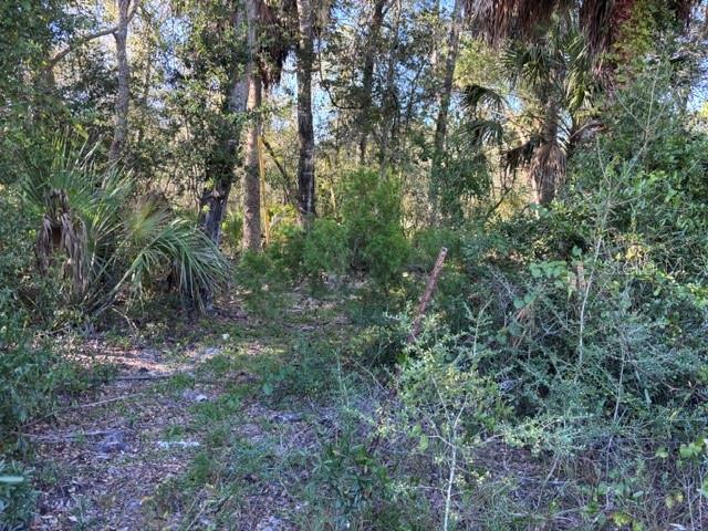 7450 SW STATE ROAD 24