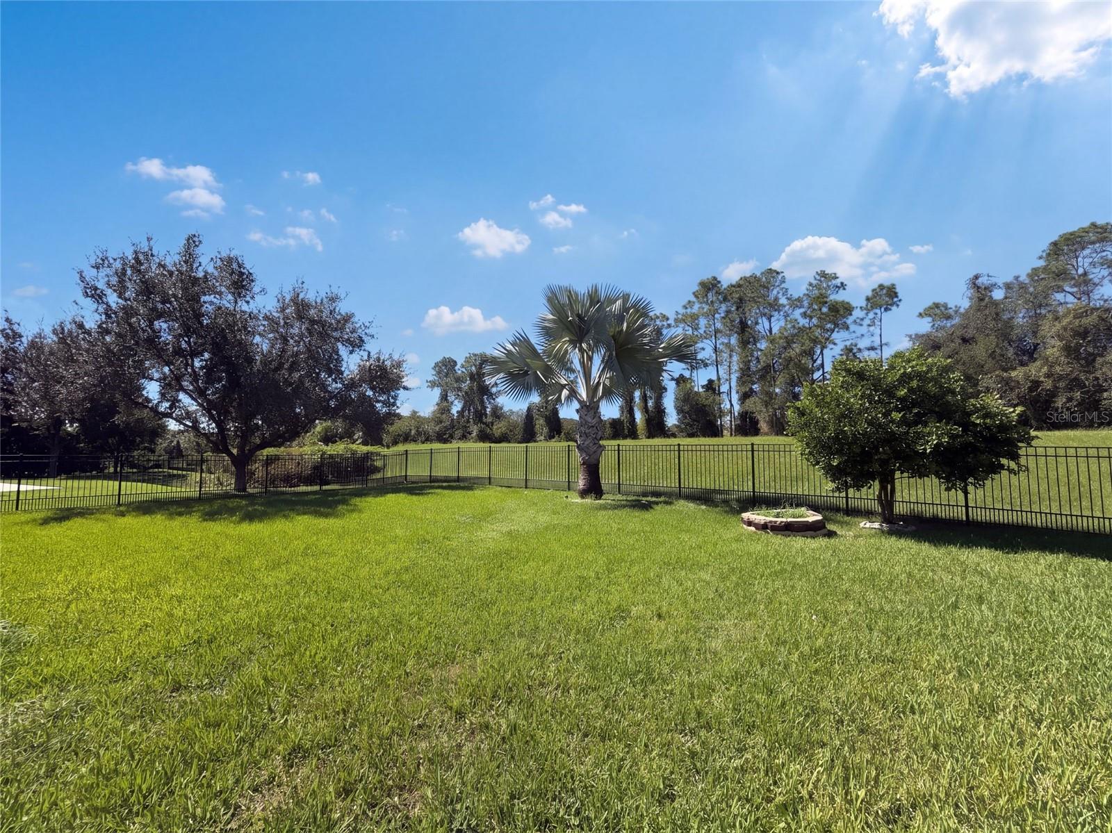 Single Family Residence at 20009 OUTPOST POINT DR, TAMPA, photo 26 of 27